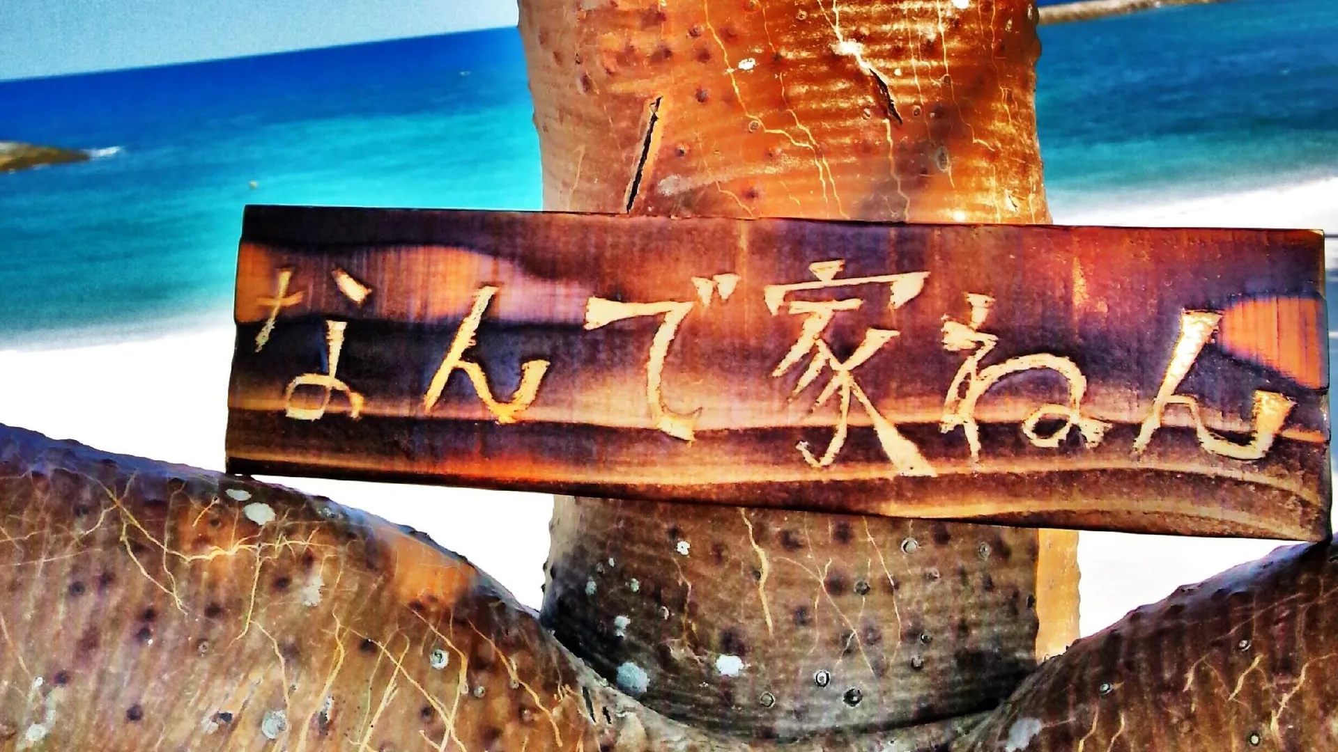 오키나와 본섬 게스트하우스 난데야넨 1성급 호텔 부대시설