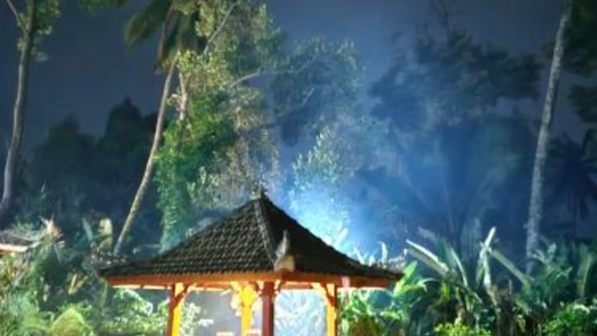 발리 Pondok Manca 3성급 싱글룸 수영장