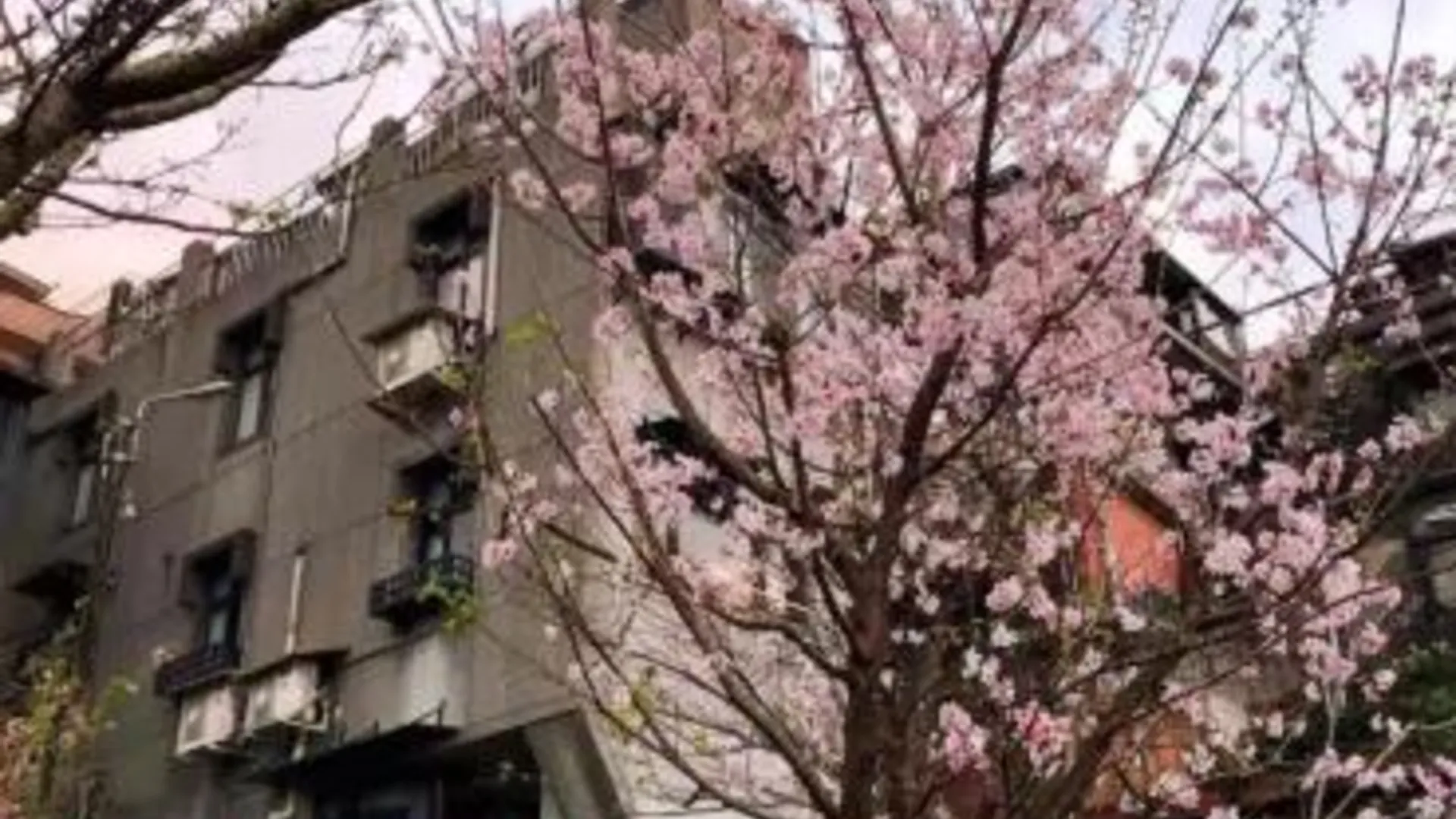 타이베이 九份歲月靜好民宿Good Time 2성급 게스트하우스 외관