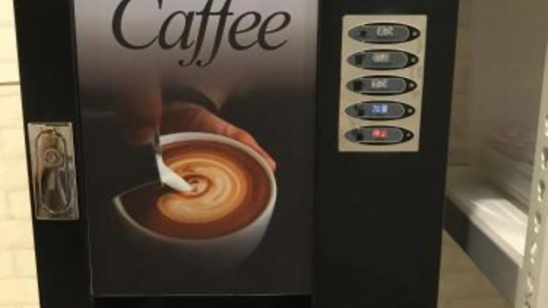 타이베이 투어리스트 버니 호스텔 5성급 게스트하우스 객실