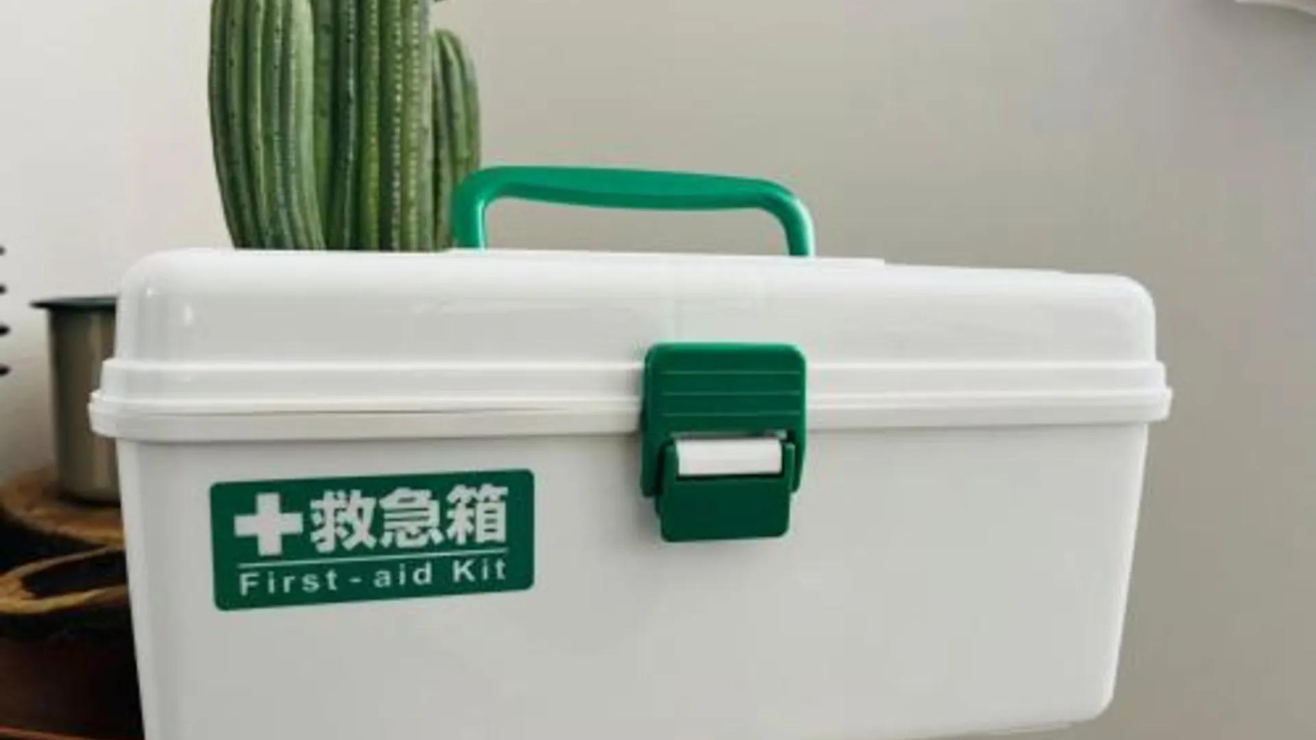 도쿄 / 동경 도쿄 카미이케부쿠로 빌라 4성급 호텔 객실