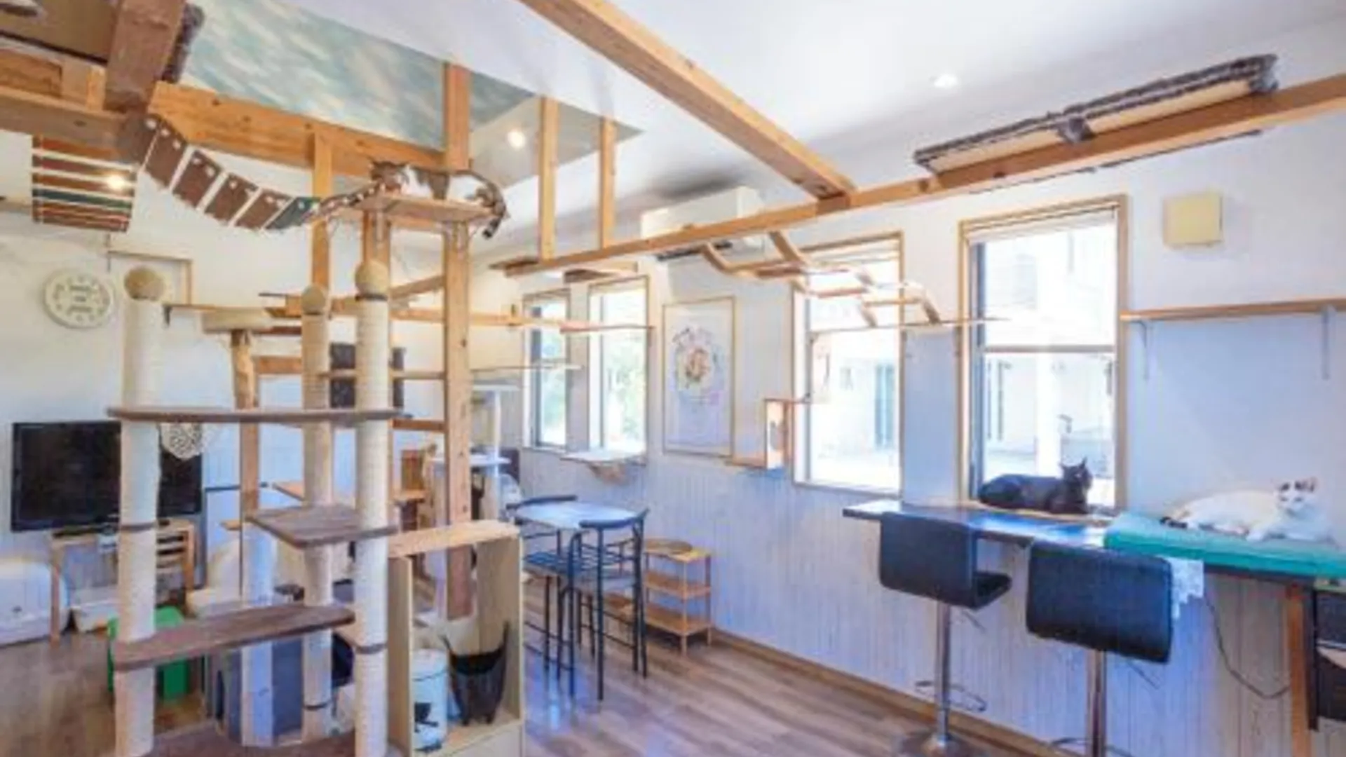 이시가키 호텔 핏 인 이시가키지마 2성급 호텔 수영장