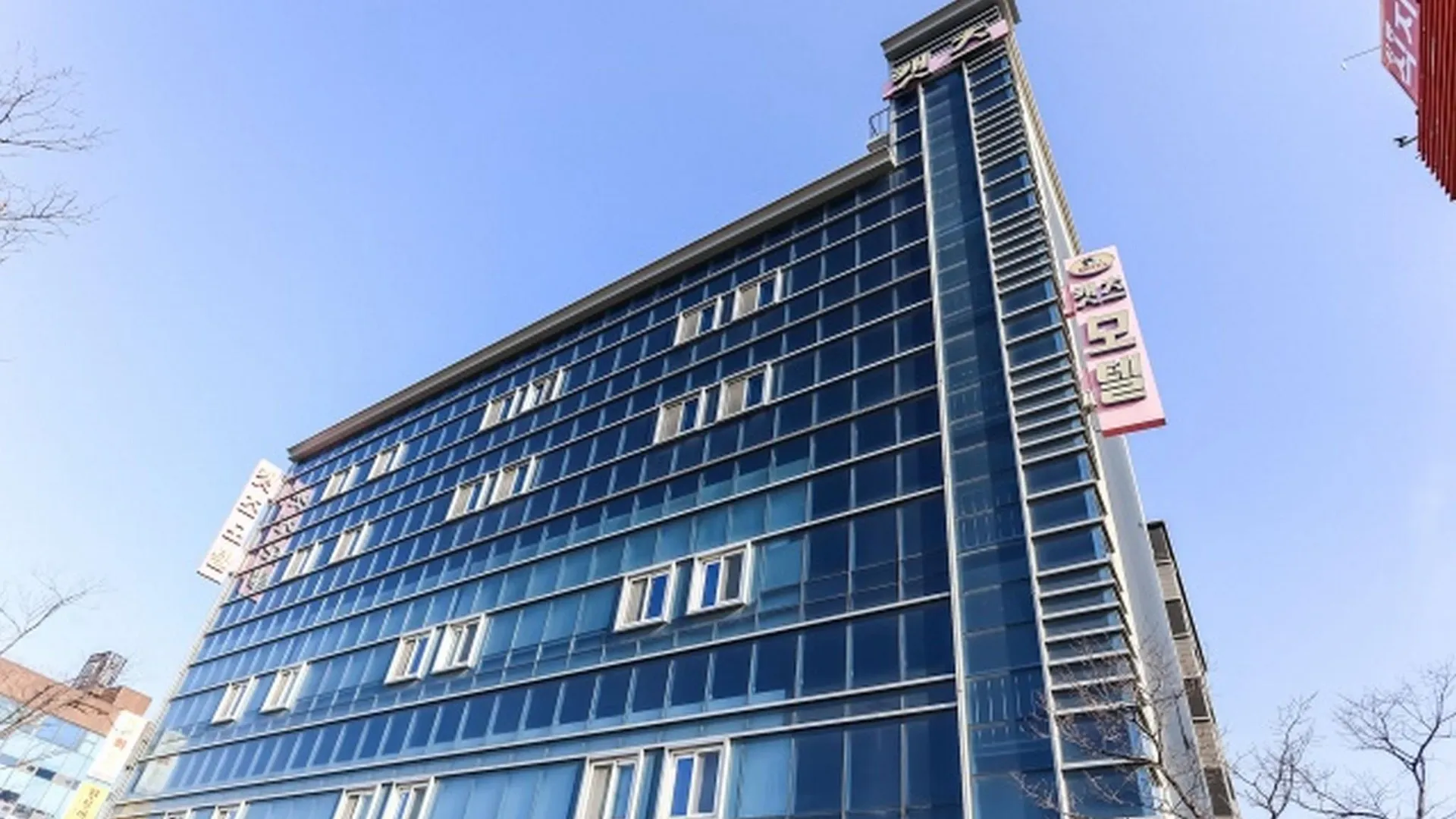 강릉 강릉 캣츠 호텔 외관