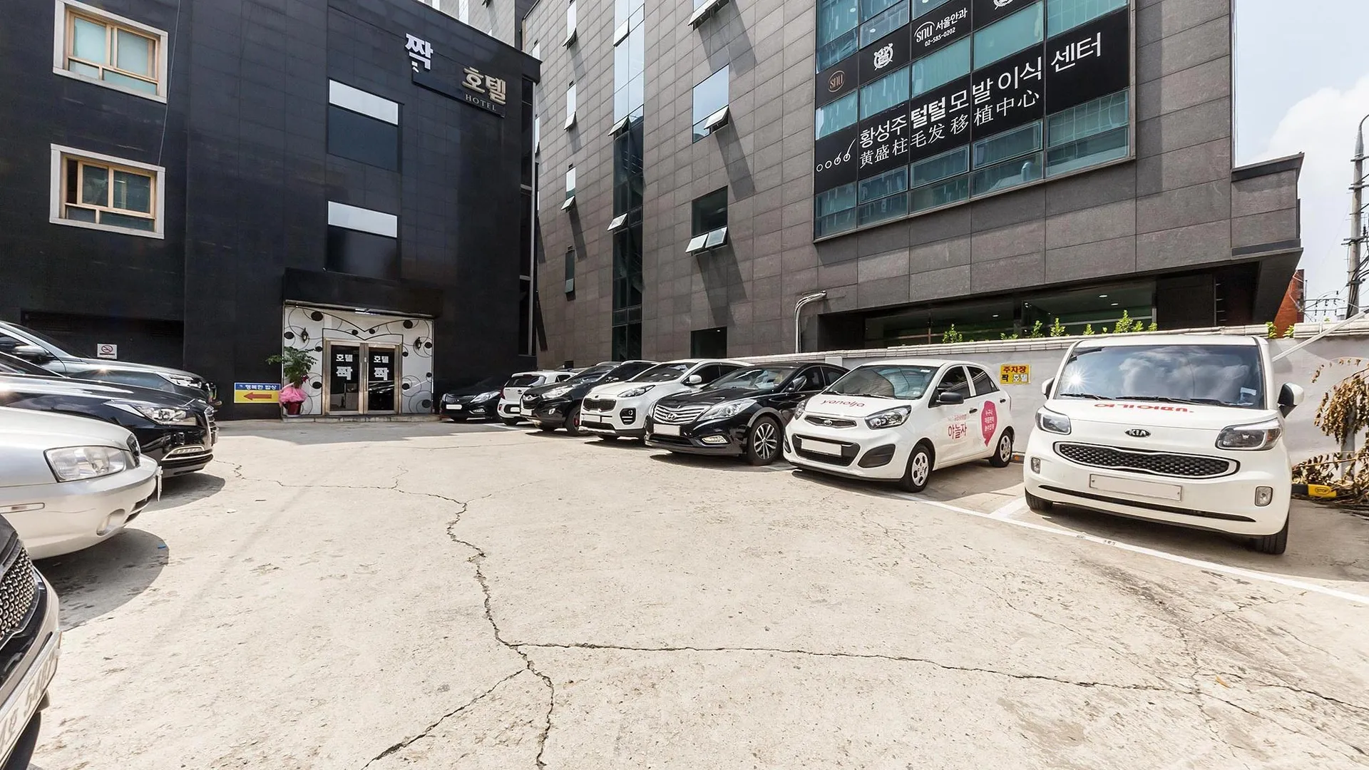 서울 신사 짝 2성급 호텔 레스토랑