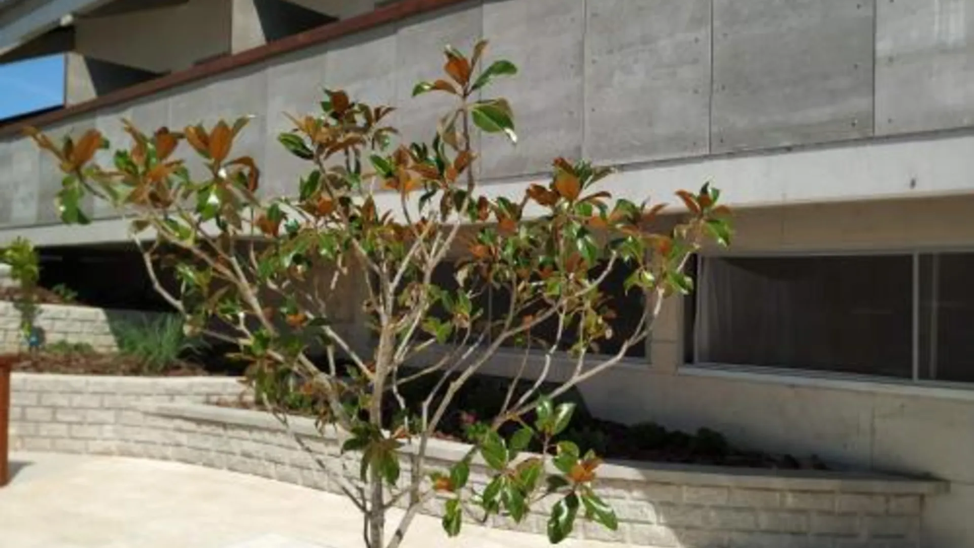 알파림 Albergaria da Tomásia 3성급 호텔 전망