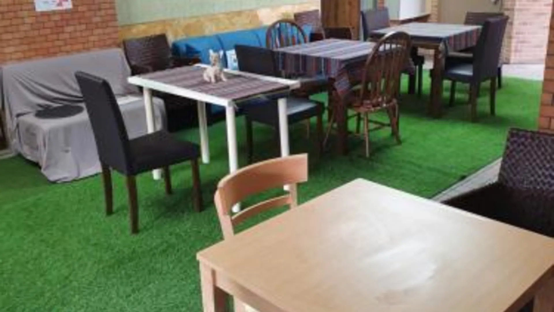 도쿄 / 동경 Shinjuku Sky hostel 1성급 호텔 수영장