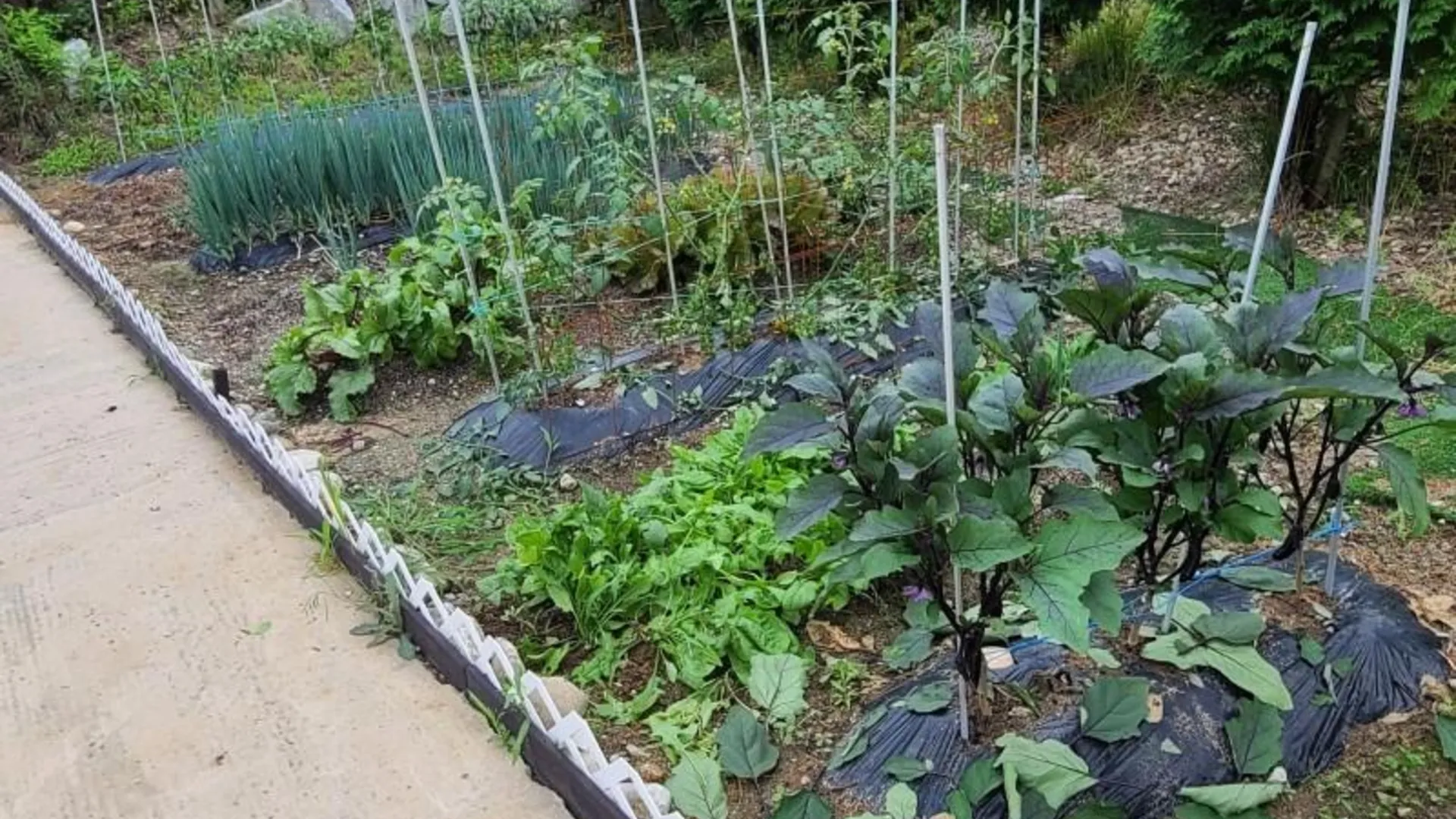 양양 양양 스테이해담은펜션 1성급 싱글룸 스위트룸