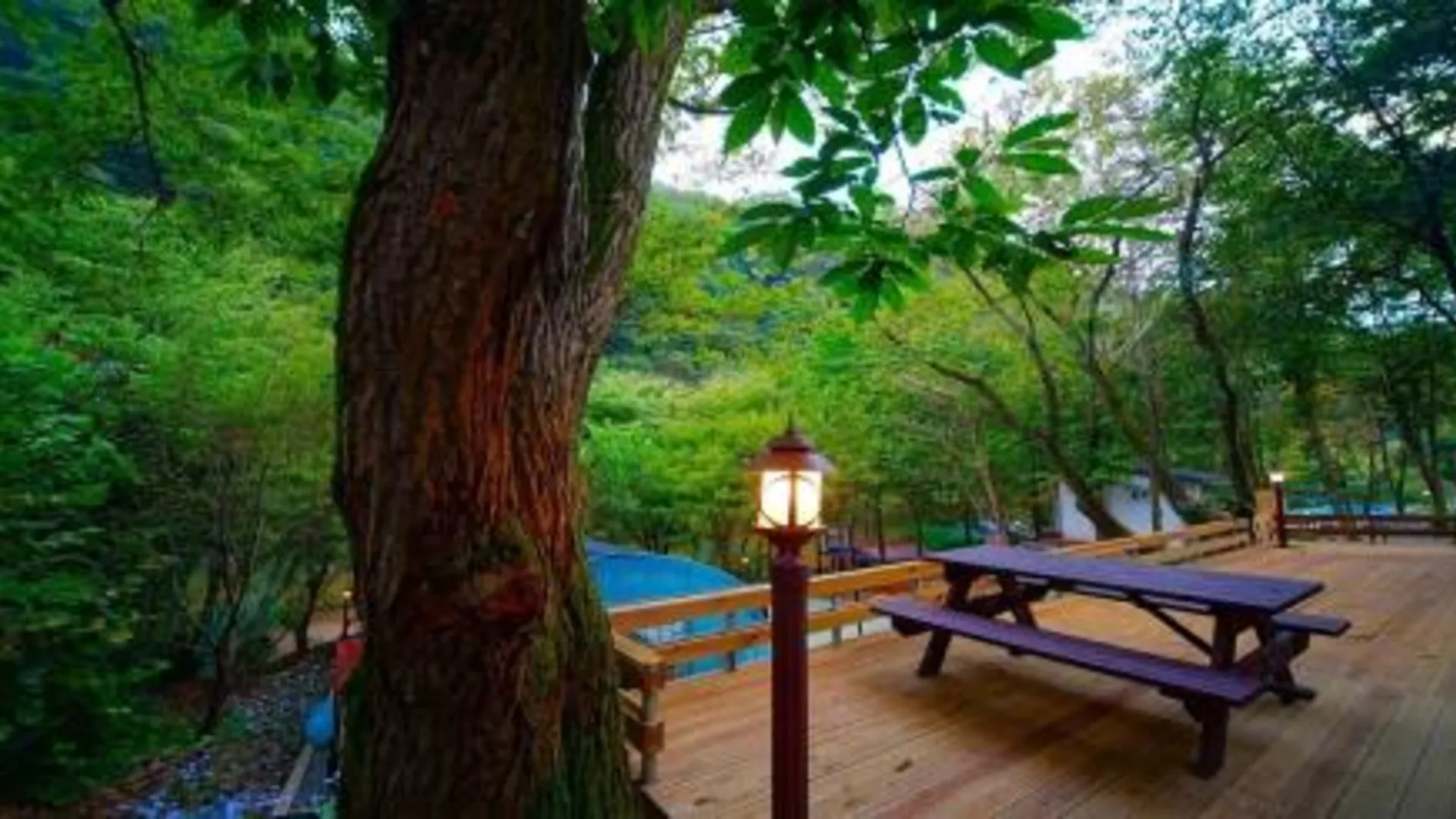 괴산 나무소리펜션 3성급 게스트하우스 레스토랑