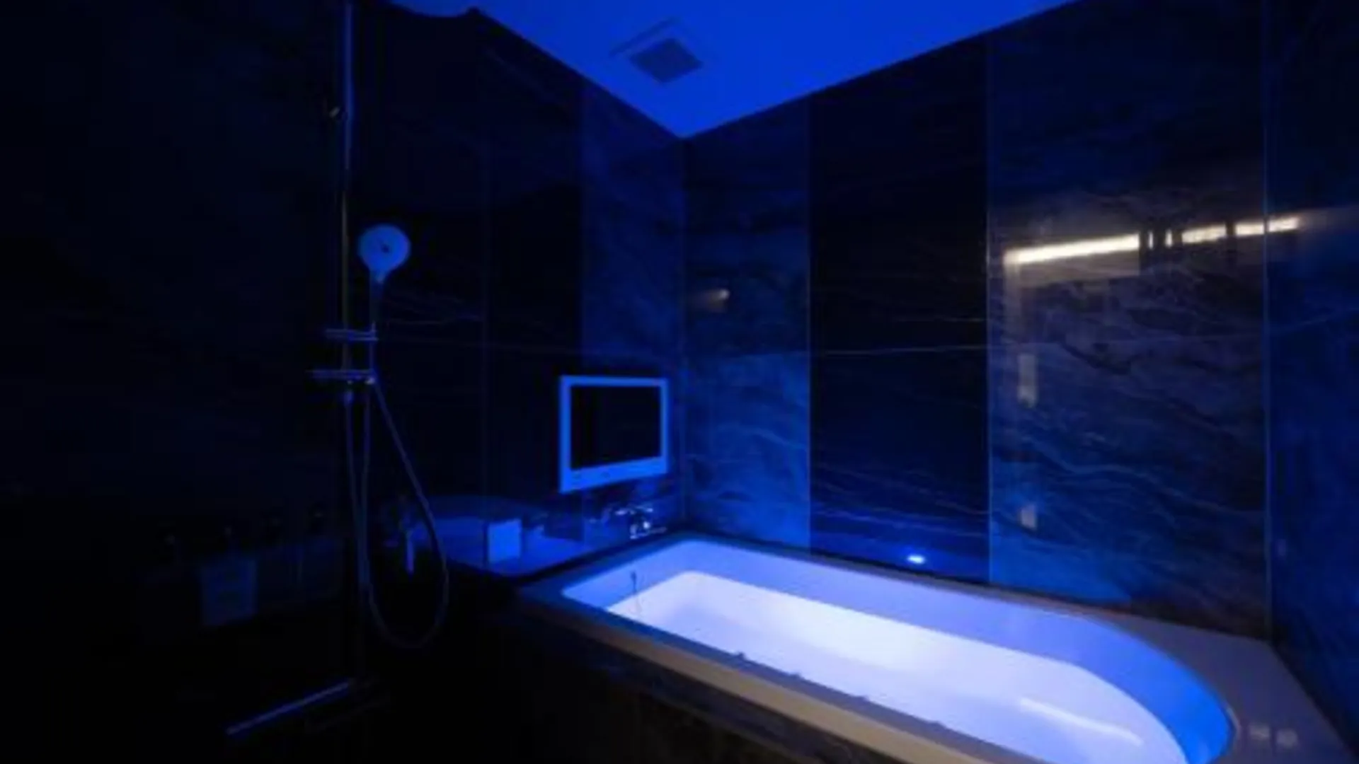 도쿄 / 동경 HOTEL VARKIN Ikebukuro Nishiguchi 3성급 호텔 부대시설