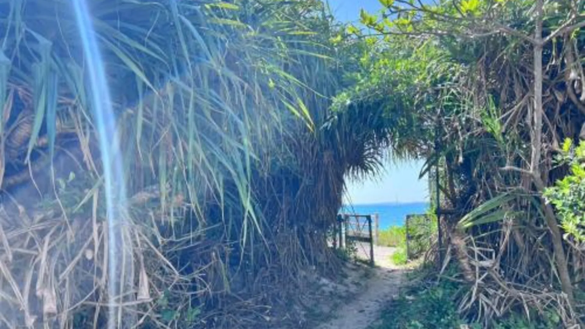 오키나와 본섬 LAGUNA OKINAWA Beachfront YAKA 4성급 호텔 객실