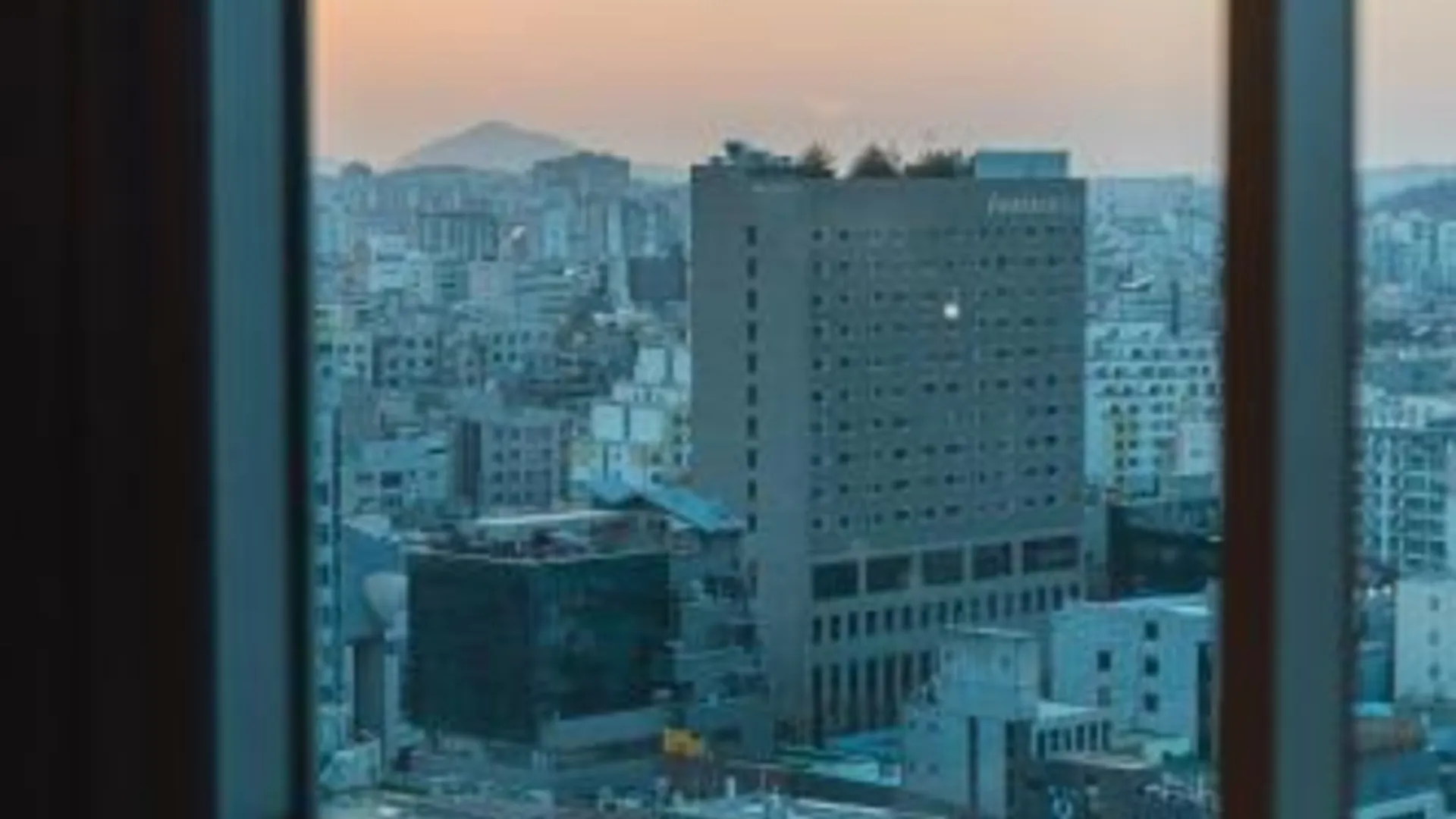 서울 모모호 홍대  3성급 게스트하우스 외관