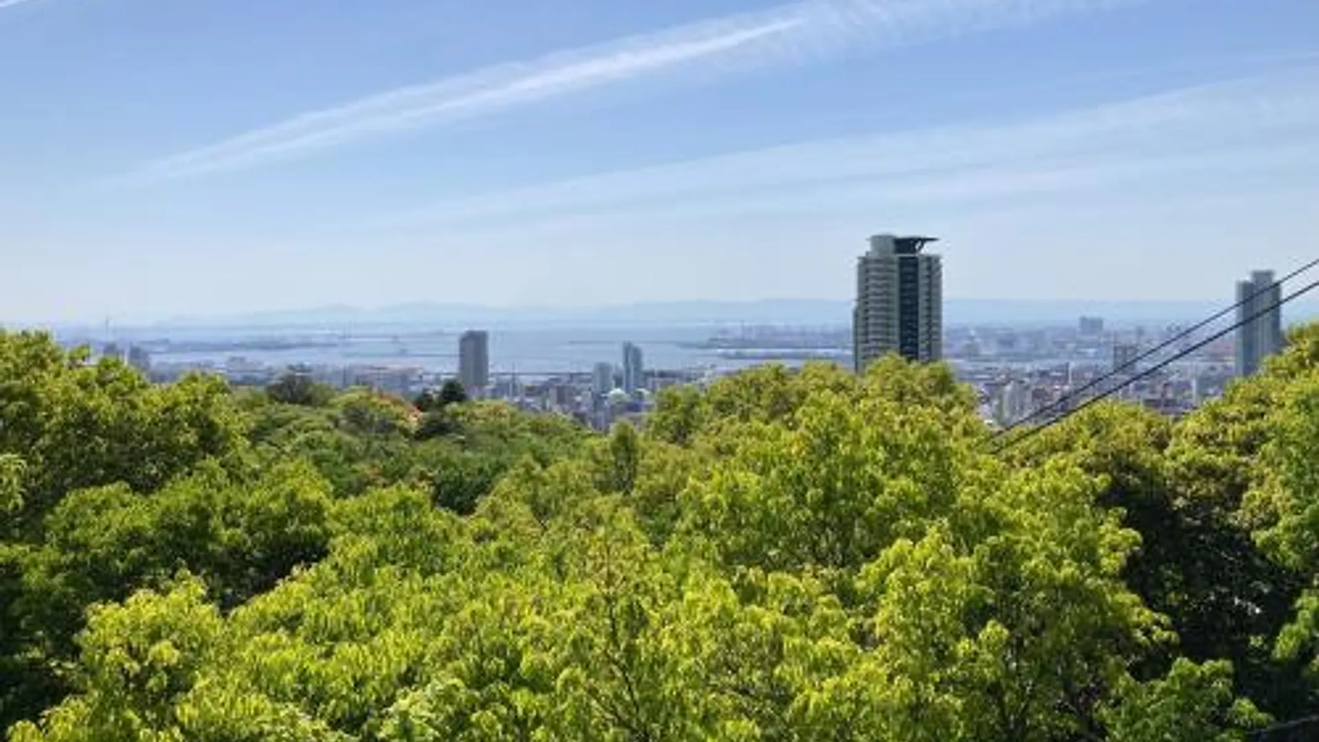 고베 게스트하우스 고베 야마토무스비 5성급 호텔 레스토랑