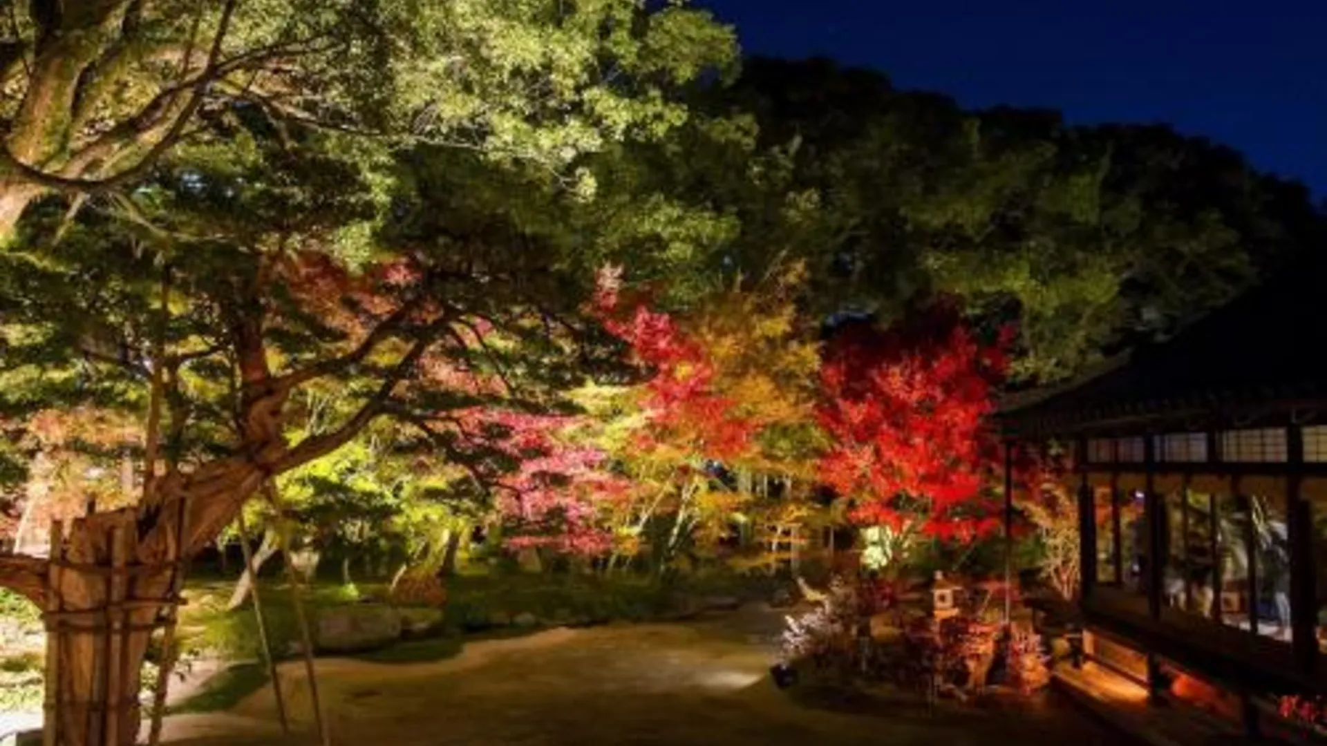 후쿠오카 레이센카쿠 호텔 에키매 2성급 호텔 부대시설