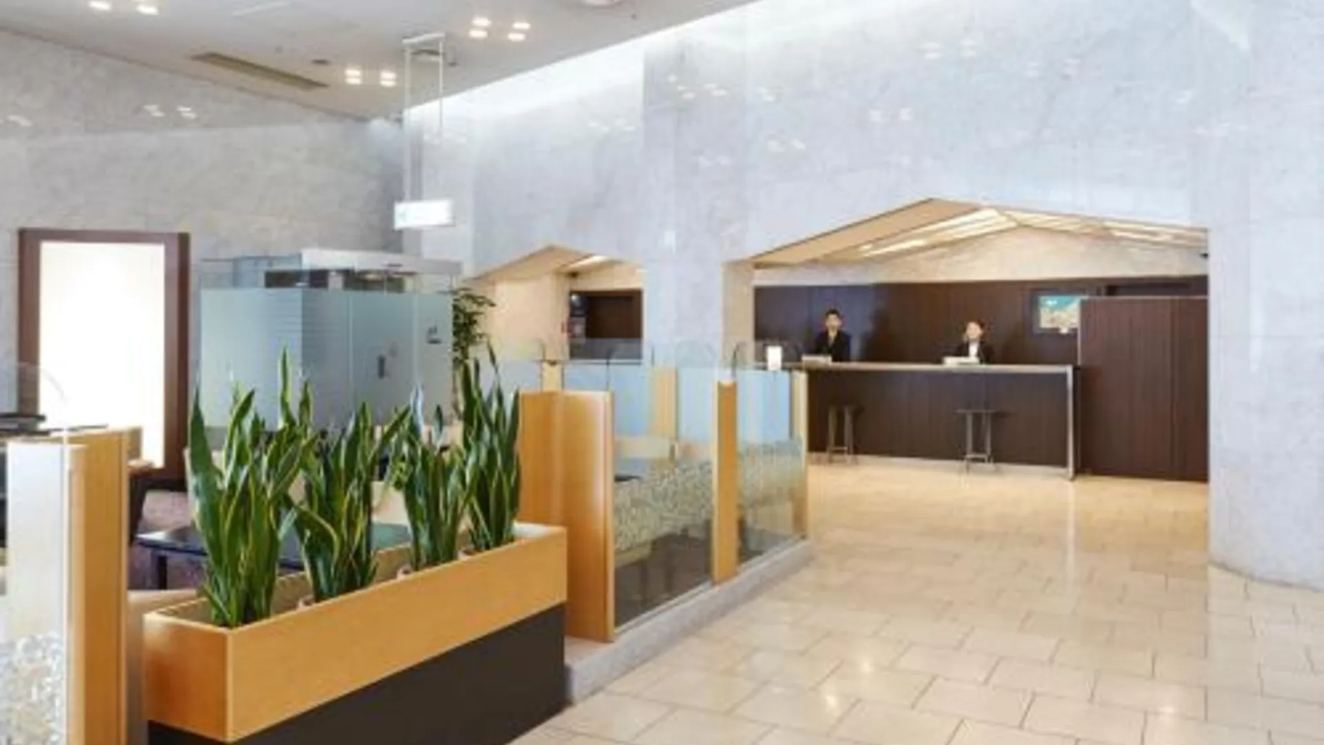 오사카 미야코 시티 오사카 텐노지 3성급 호텔 수영장