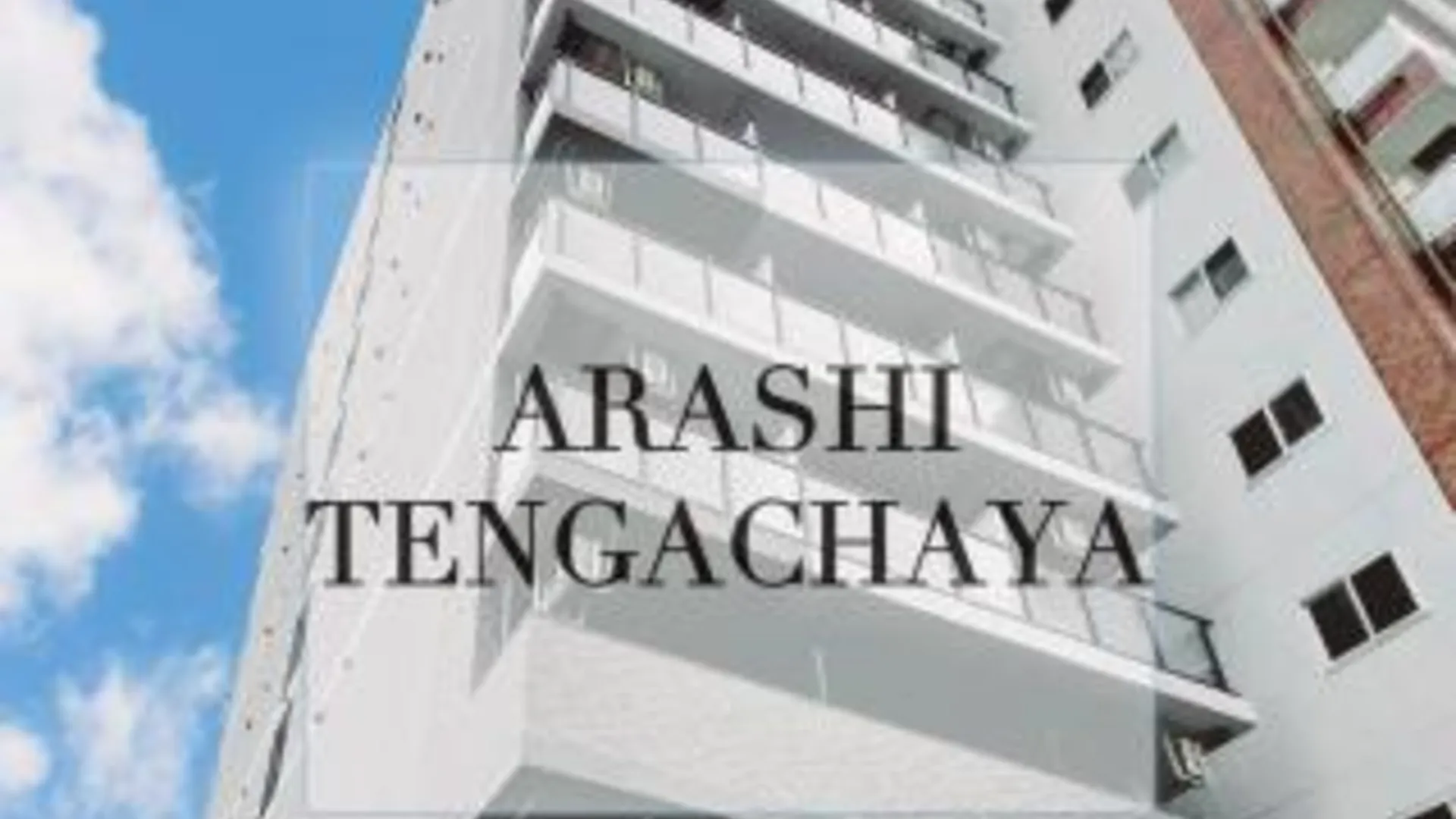 오사카 Hotel Arashi Tengachaya No005 4성급 호텔 객실