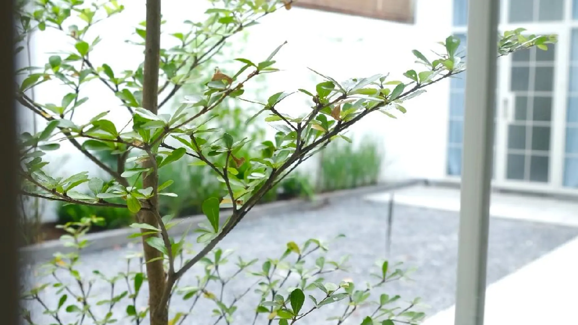 호치민 M 빌리지 리빙 47 타오 디엔 3성급 호텔 전망