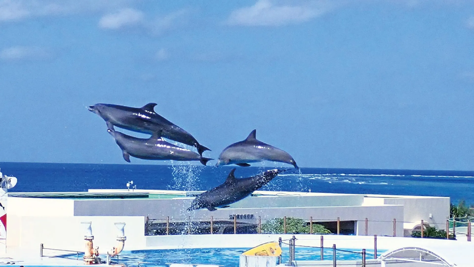 오키나와 본섬 조에 리조트 더 선셋 빌리지 오키나와 차탄 [오키나와 메인 아일랜드] 4성급 게스트하우스 객실