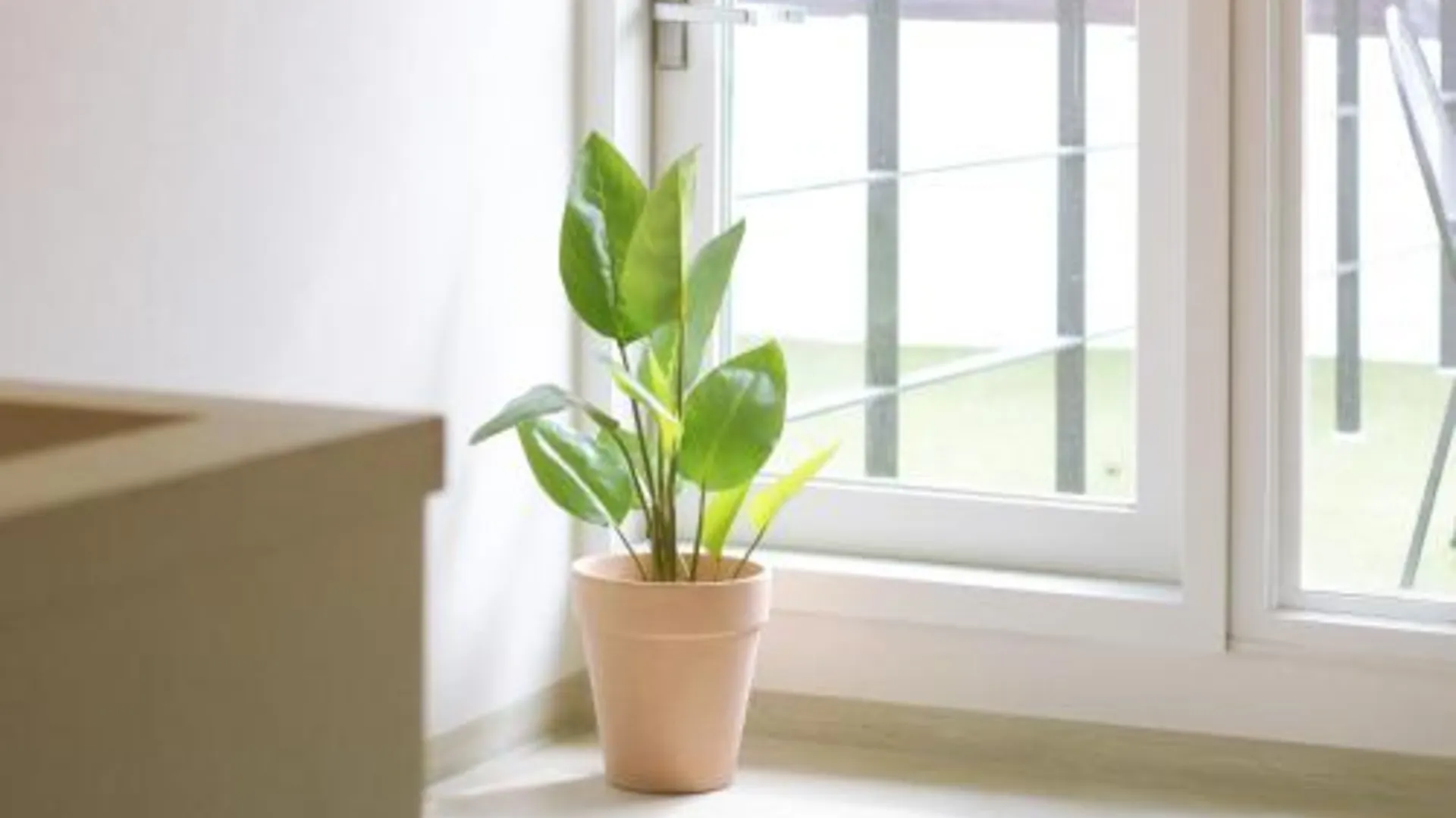 서울 니트 하우스 1성급 호텔 전망