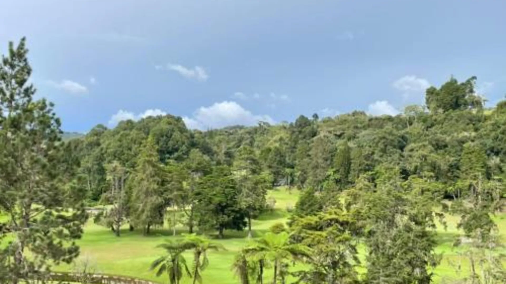 카메론 하일랜즈 PLAY at Iris Resort Tanah Rata 2성급 싱글룸 레스토랑