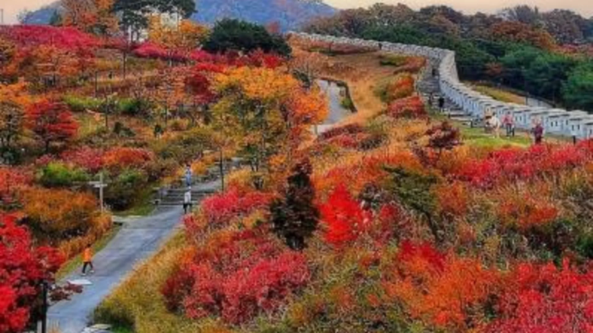 서울 아파트 제이 가든 명동역 도보3분 3성급 게스트하우스 로비