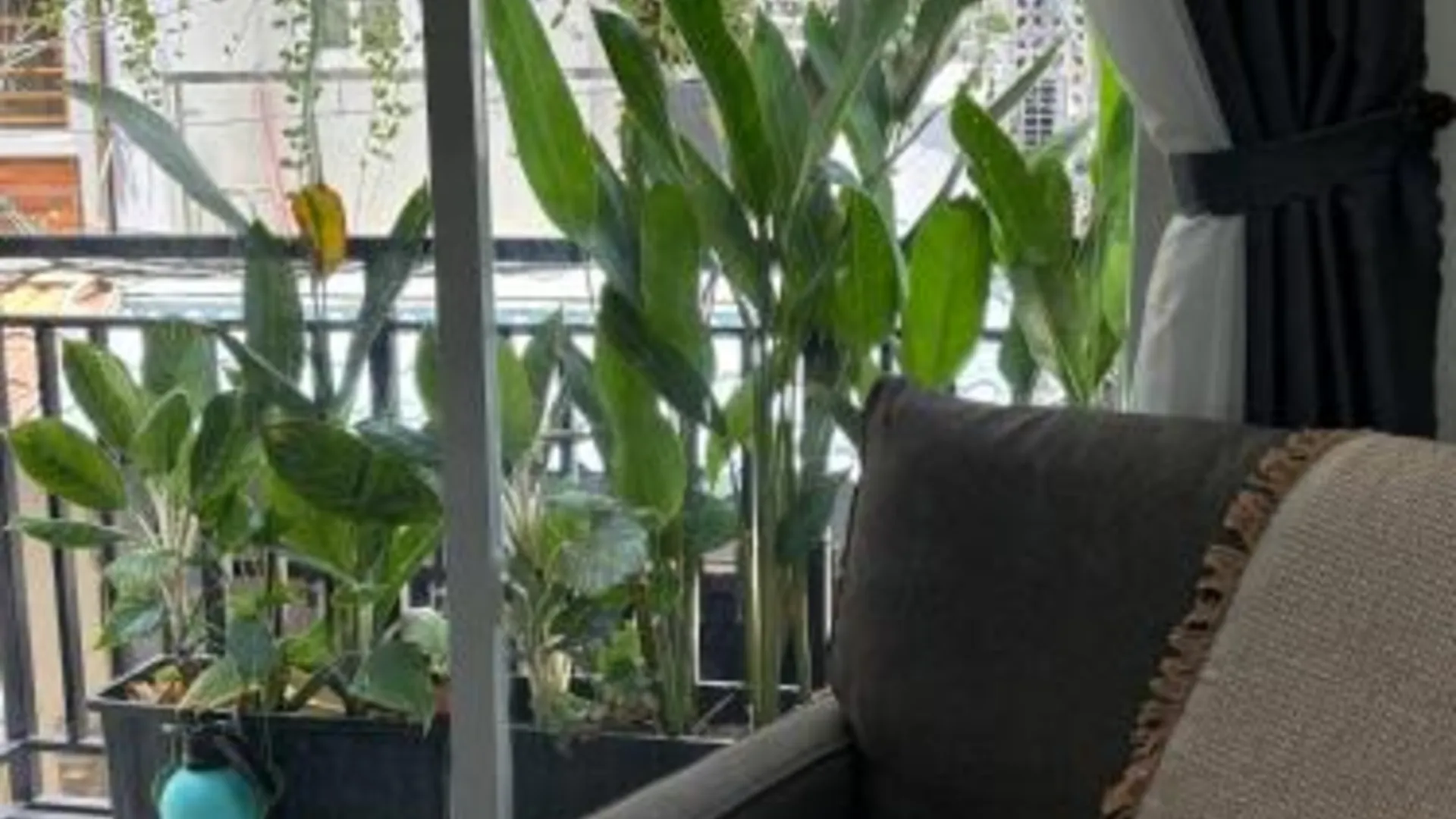 호치민 렉시스하우스 - 웜 스페이스 인 호티끼 플라워 마켓 4성급 게스트하우스 로비