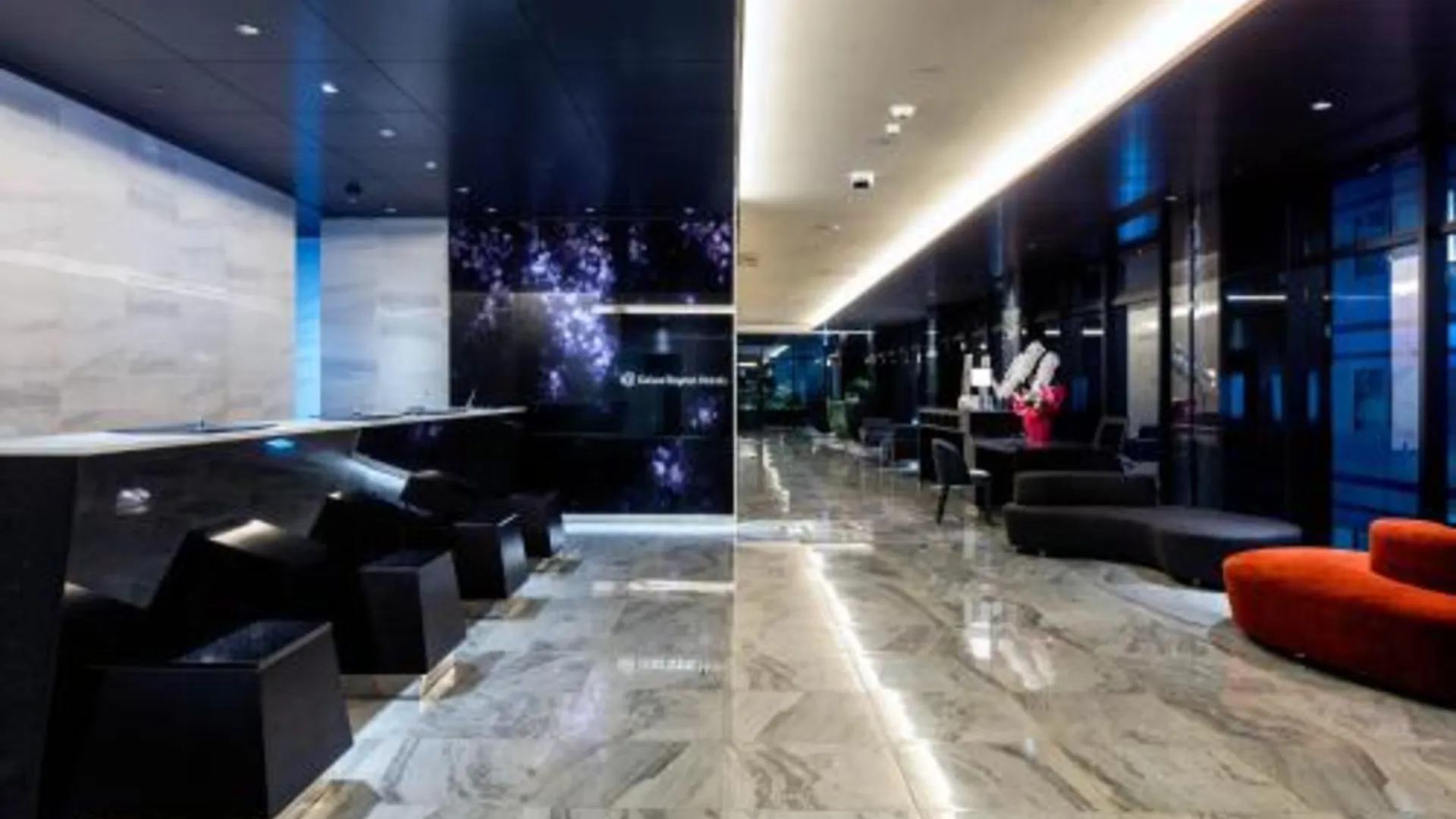 도쿄 / 동경 다이와 로이넷 호텔 긴자 프리미어 4성급 호텔 전망