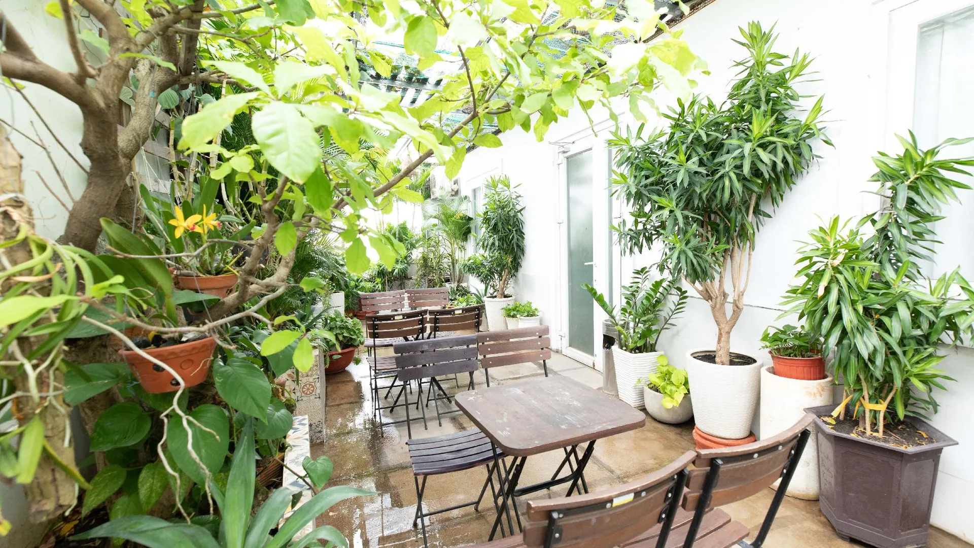 호치민 에어포트 사이공 호텔 3성급 호텔 수영장