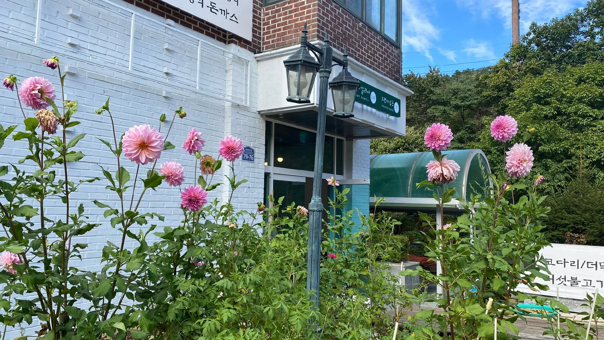 가평 가평 다알리아펜션 1성급 게스트하우스 수영장