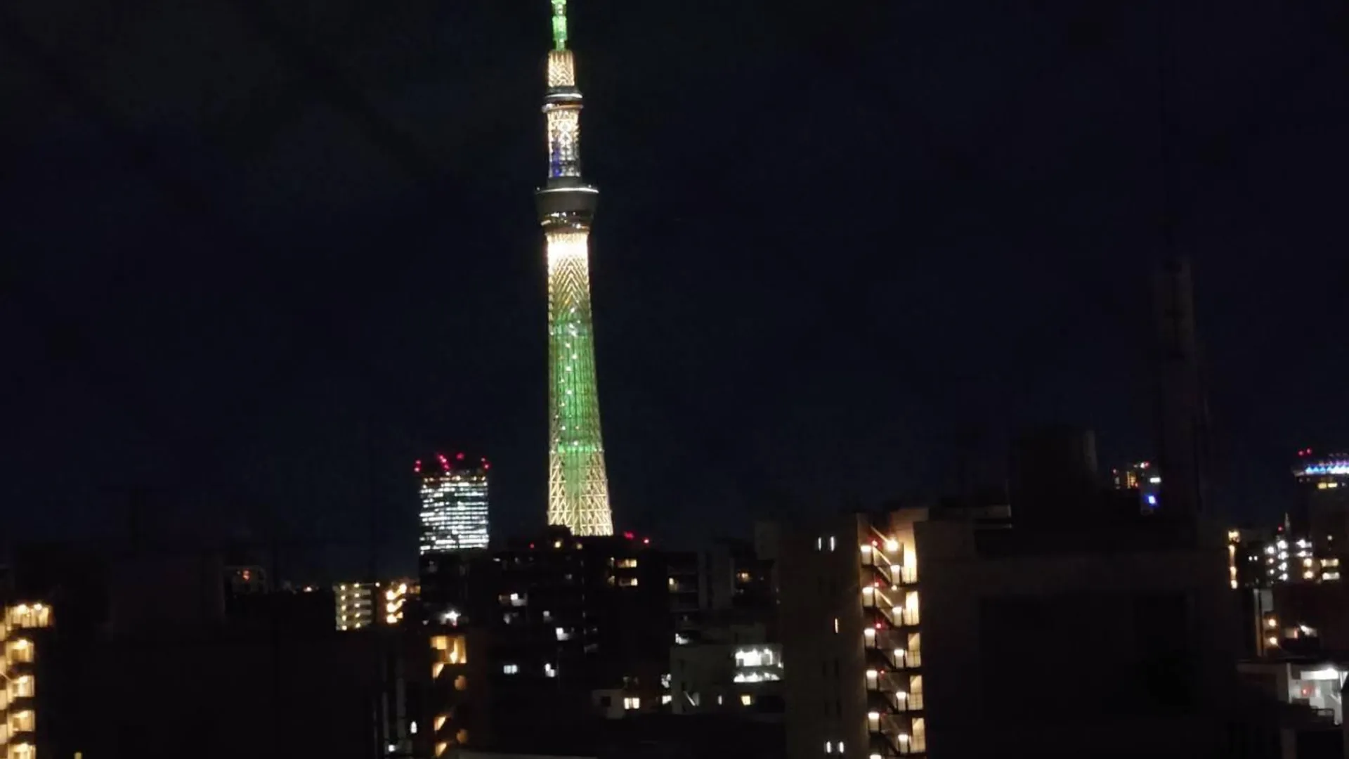 도쿄 / 동경 호텔 스테이 앤 고 이리야 노스 3성급 호텔 레스토랑