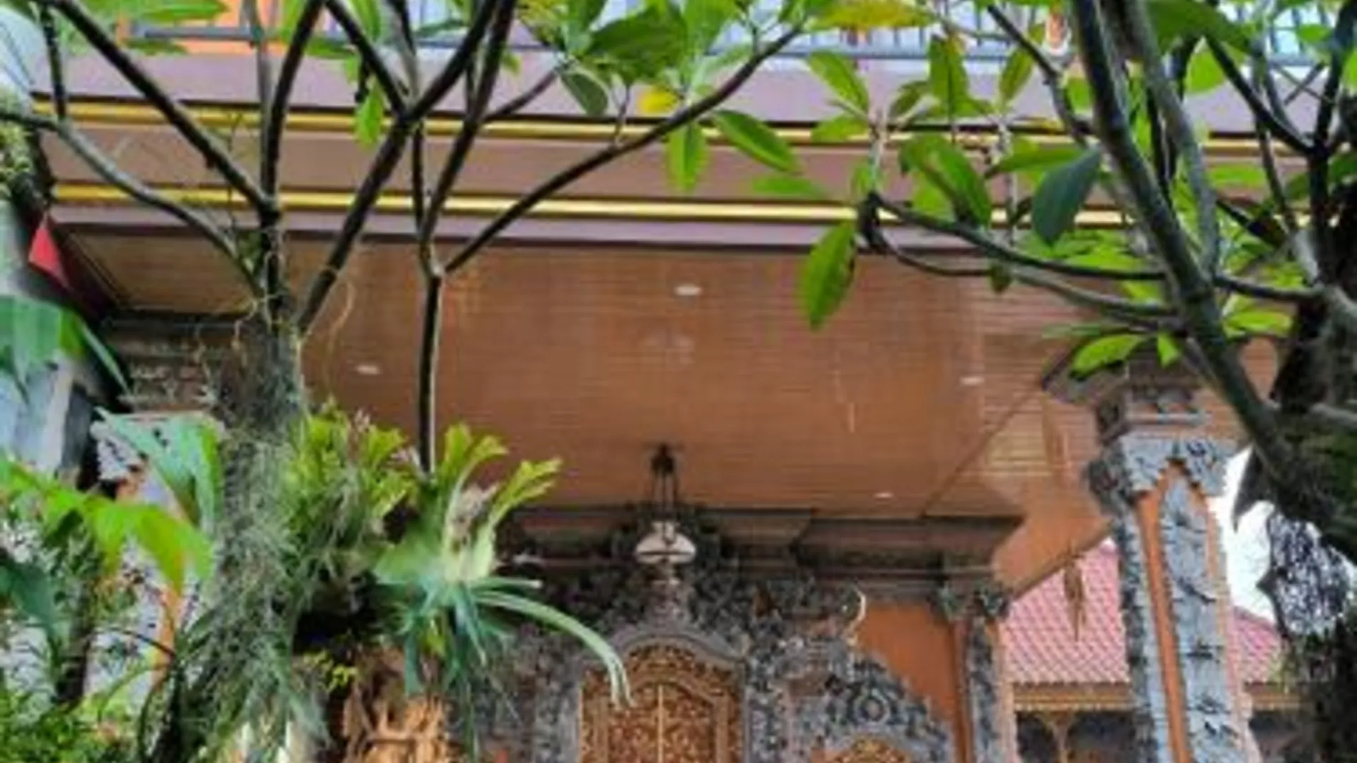 발리 Apollo Homestay 3성급 싱글룸 부대시설