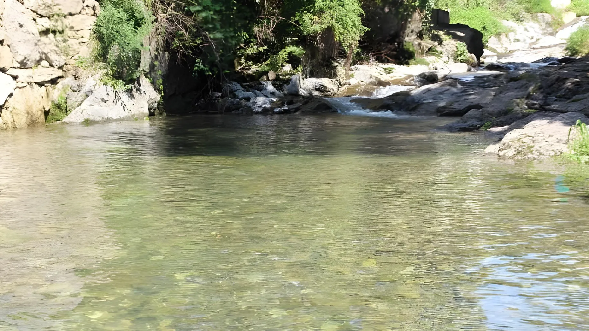 양주시 양주 아트시티펜션 (장흥유원지) 2성급 게스트하우스 부대시설