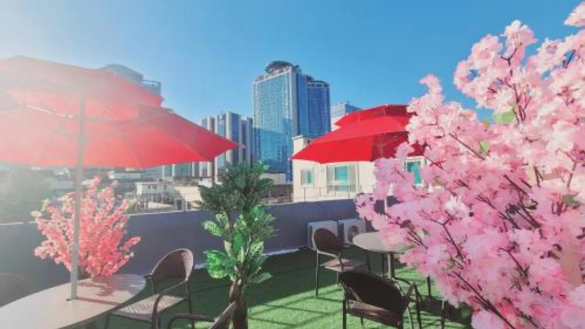 서울 올리브 호스텔 명동점 2성급 호텔 스위트룸