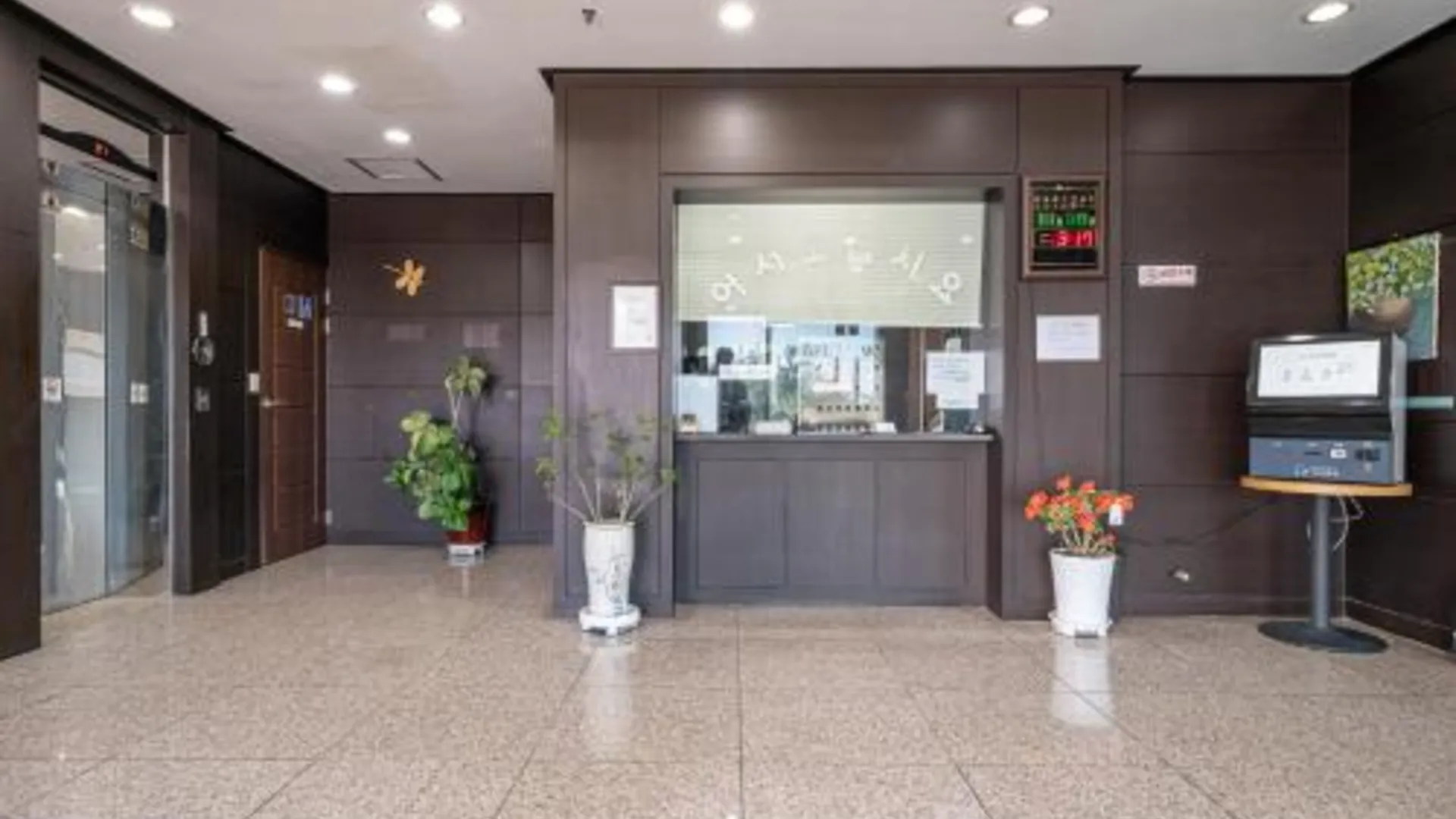 양양 양양 모비딕 호텔 호텔 수영장