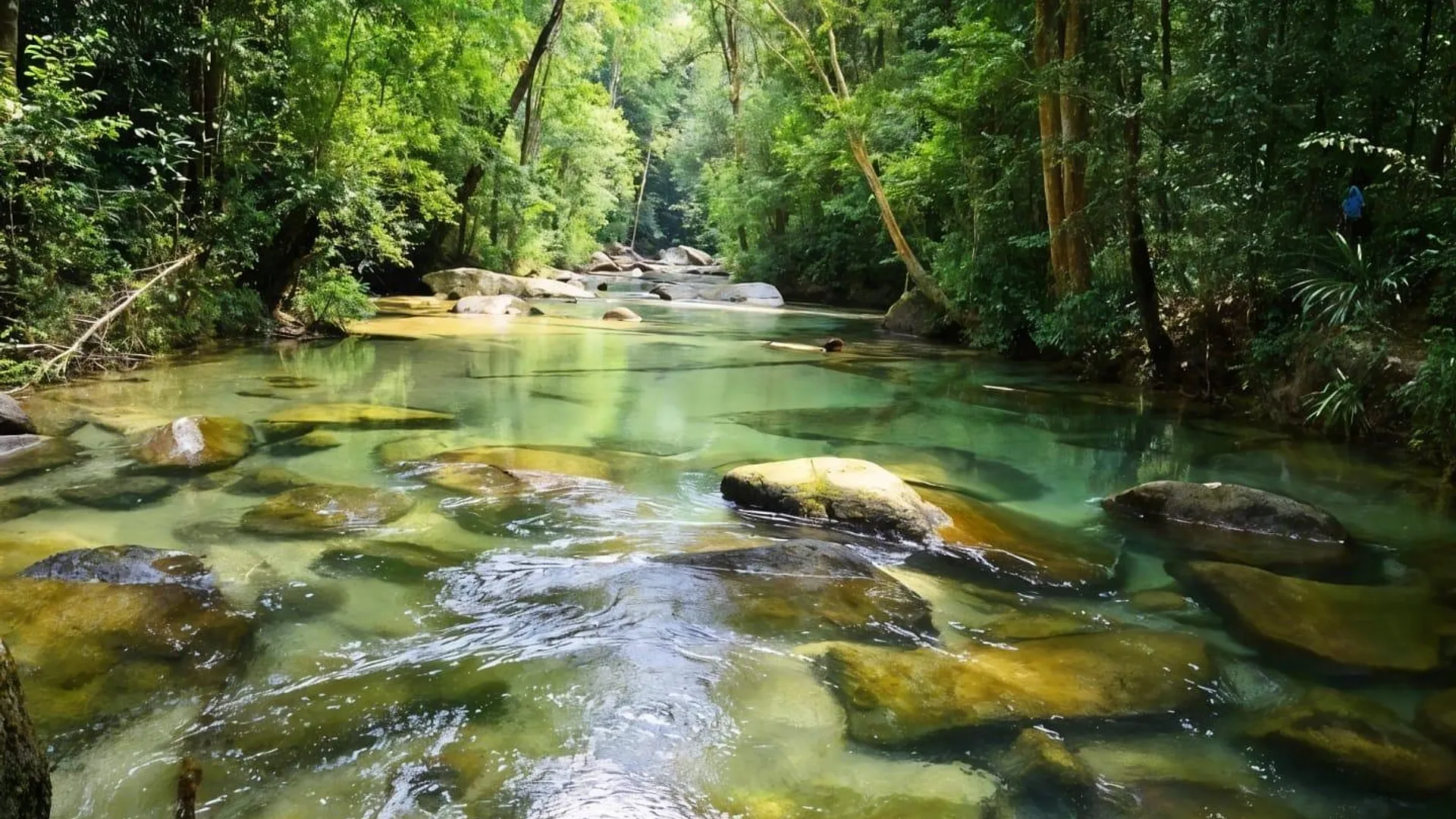 쿠알라테렝가누 Sri Midin Stay 3성급 싱글룸 객실