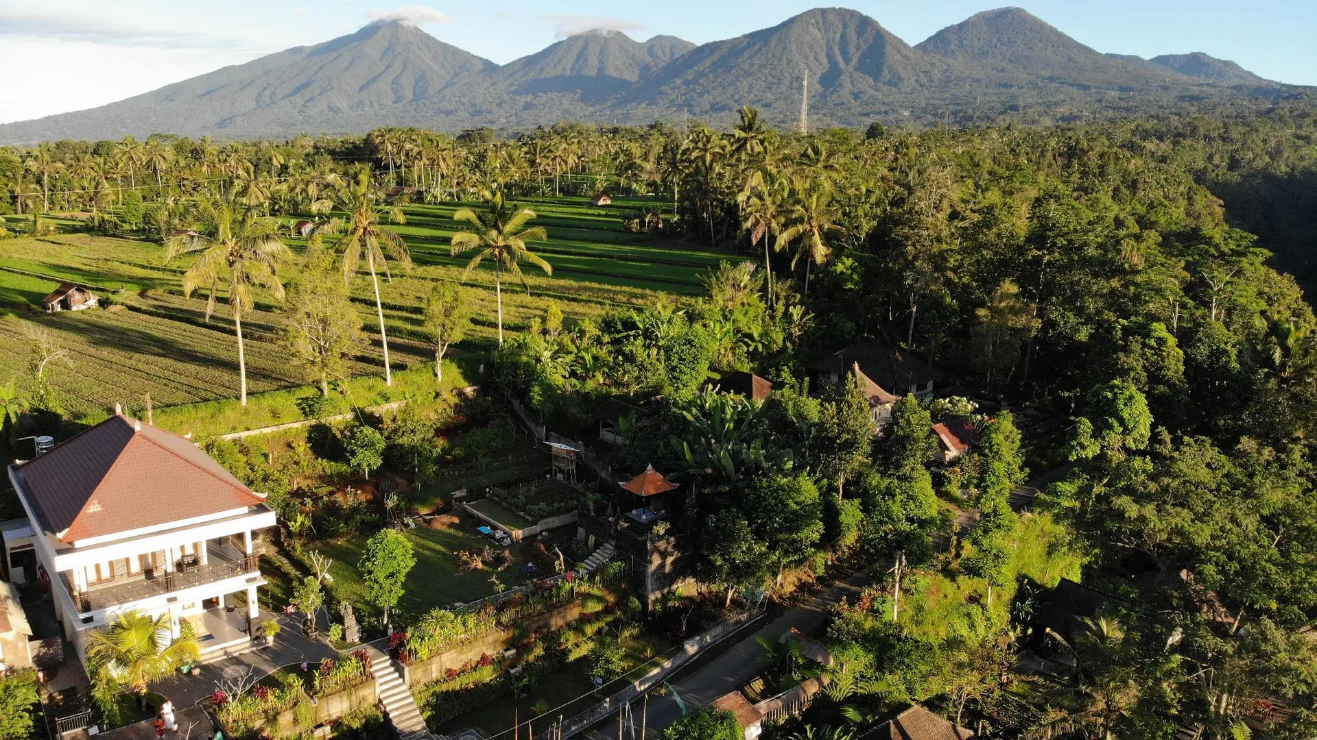 발리 빠양안 / 파양안의 프라이빗 하우스 (500m², 침실 3개, 프라이빗 욕실 3개) 3성급 싱글룸 객실