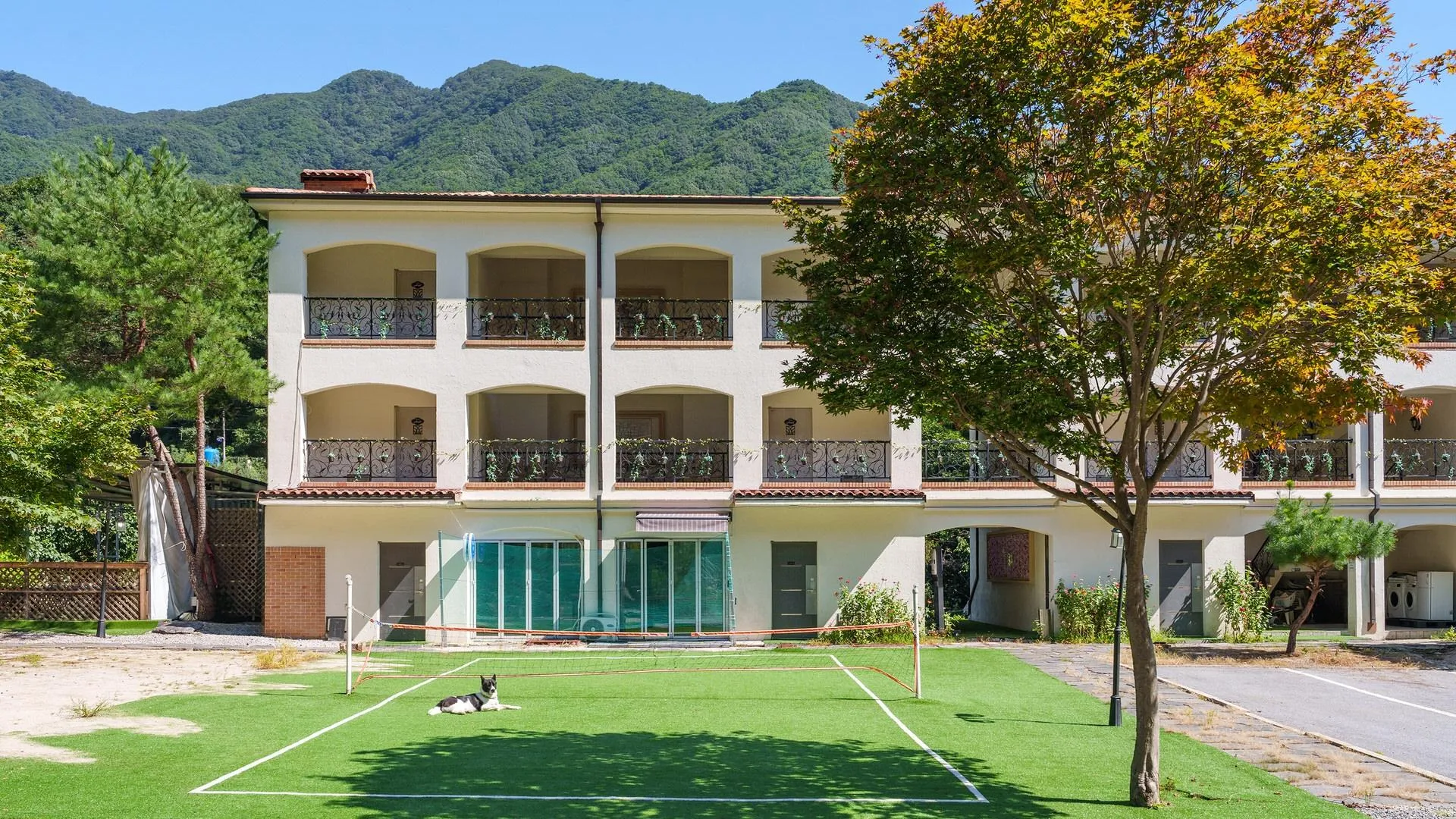 가평 가평 뭉클하우스 애견동반 펜션 3성급 게스트하우스 객실