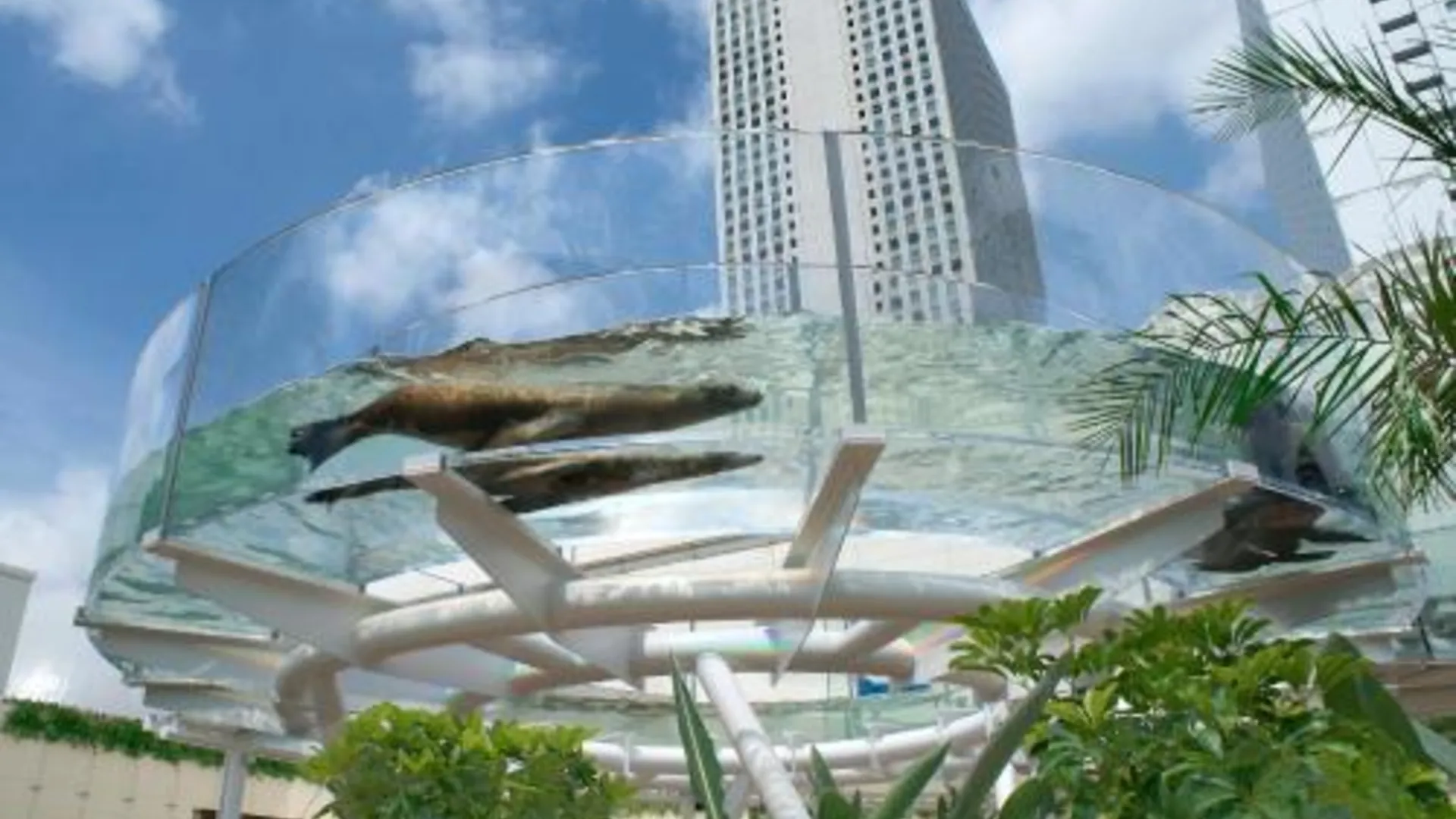 도쿄 / 동경 선샤인 시티 프린스 호텔 이케부쿠로 도쿄 4성급 호텔 레스토랑