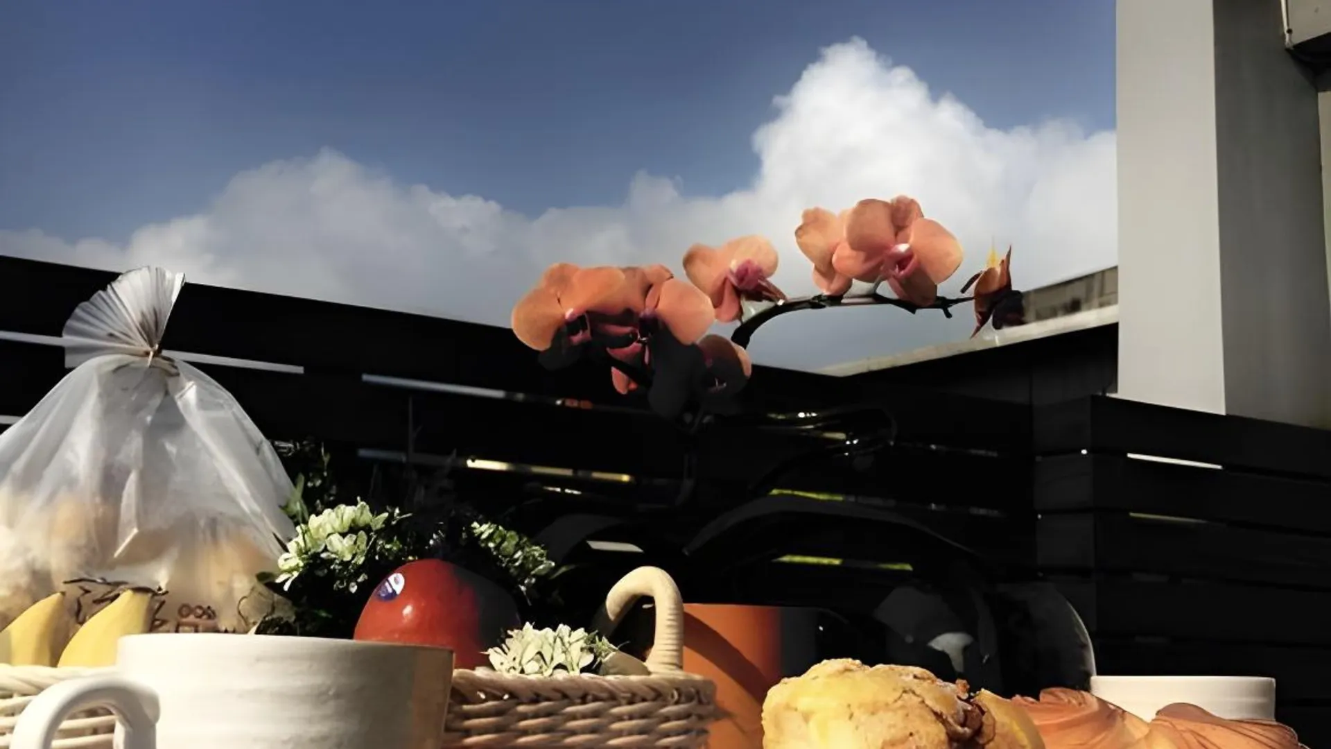 타이베이 투어리스트 버니 호스텔 5성급 게스트하우스 수영장