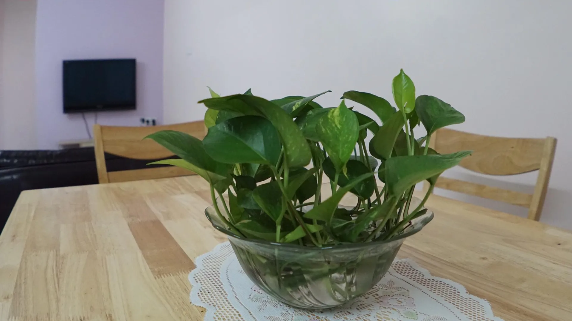 타이핑 Taiping Cozy Homestay 3성급 싱글룸 수영장