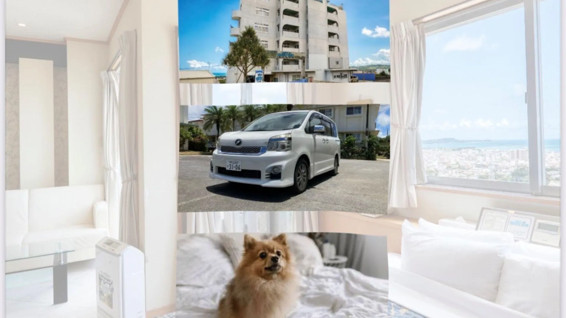 오키나와 본섬 호텔 퍼시픽 뷰 5성급 호텔 객실