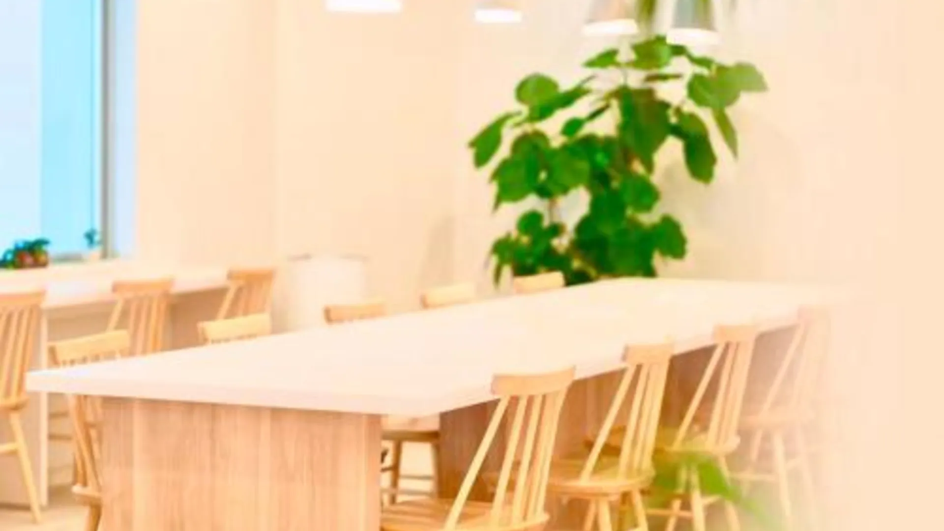 오키나와 본섬 호텔 미니멈스 우먼 온리 캡슐 호텔 5성급 호텔 전망