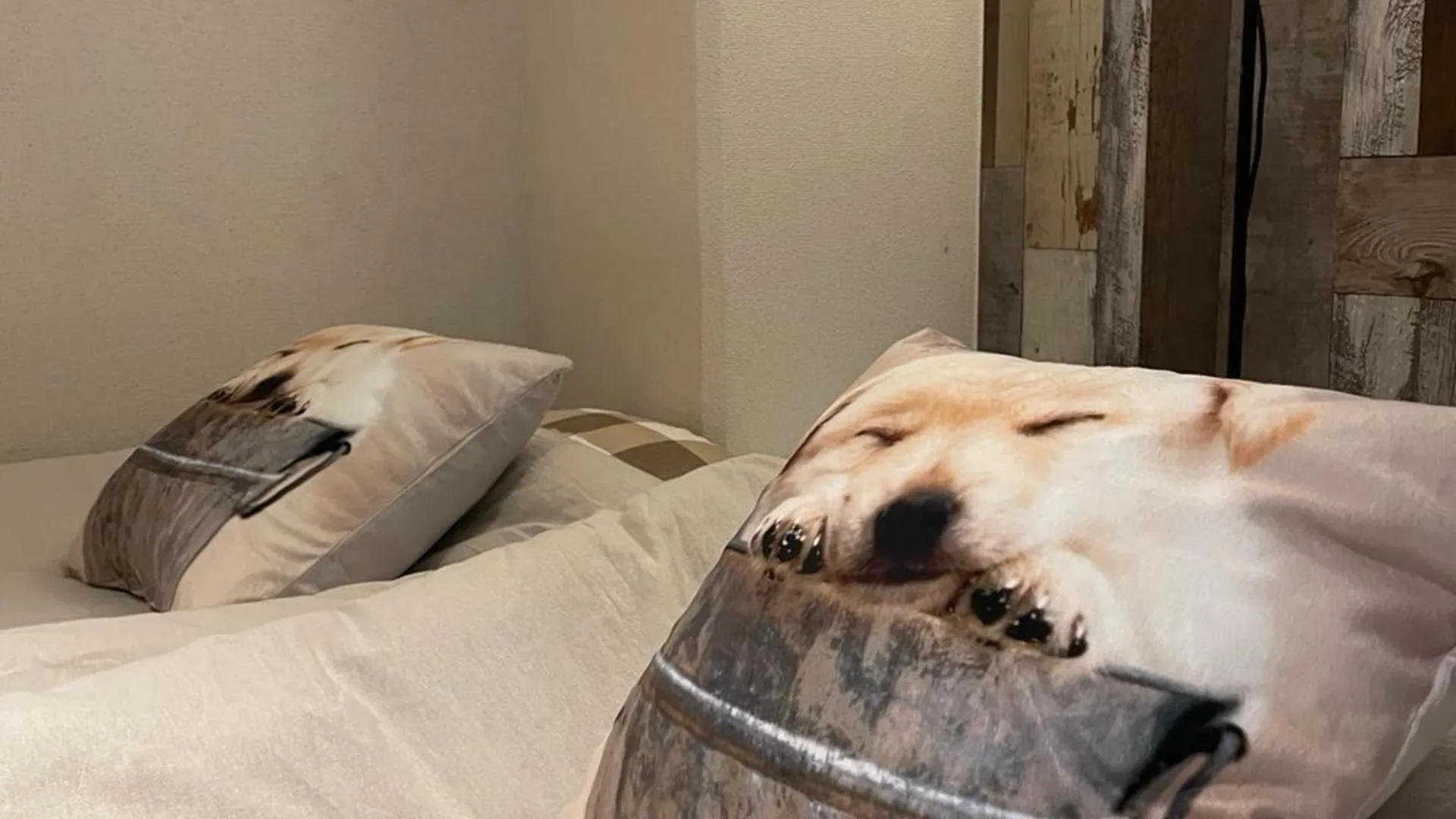 오사카 덴노지의 아파트먼트 (26m², 침실 1개, 프라이빗 욕실 1개) 3성급 게스트하우스 객실