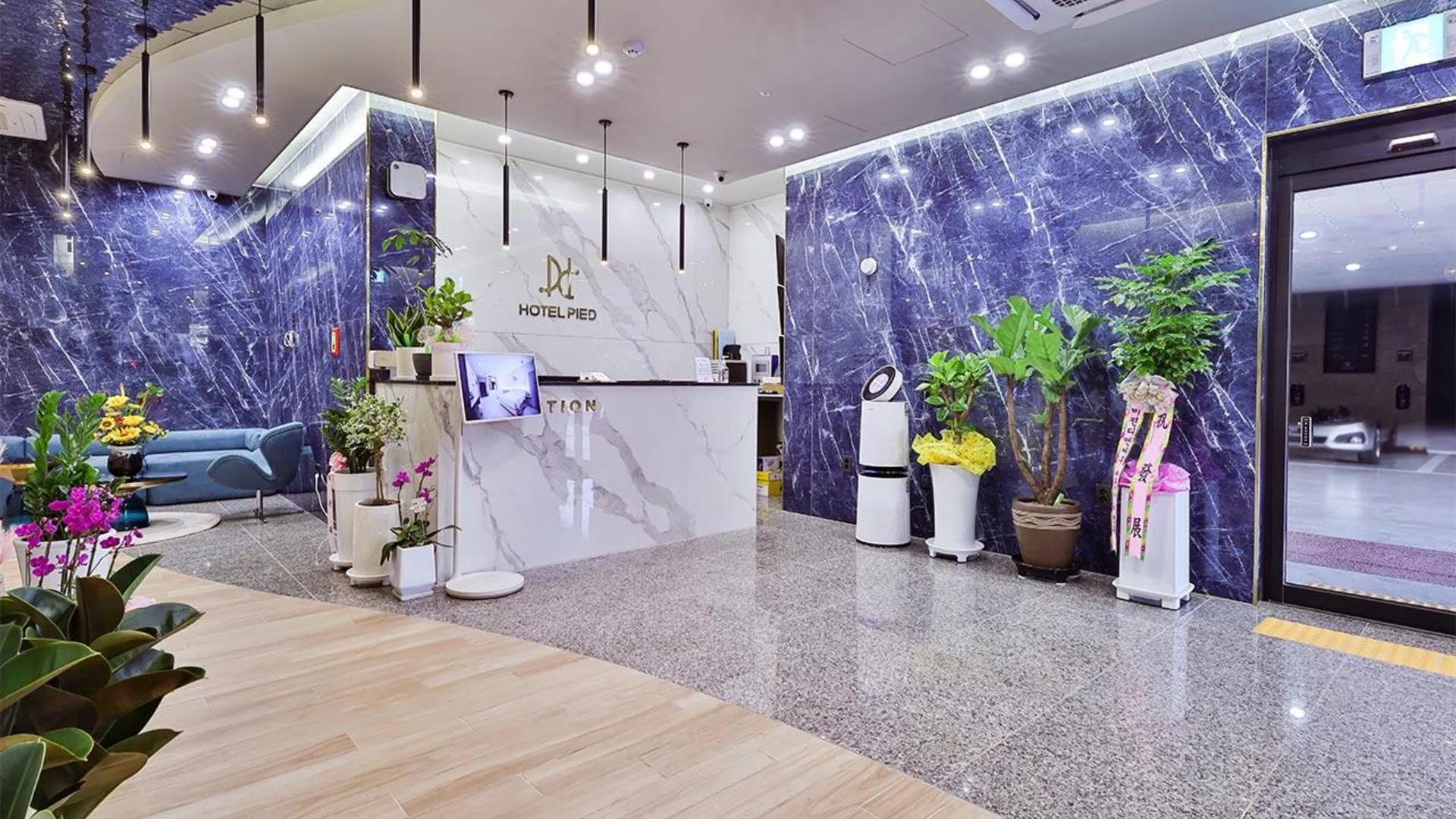 대구 호텔 피에드 수성 3성급 호텔 수영장