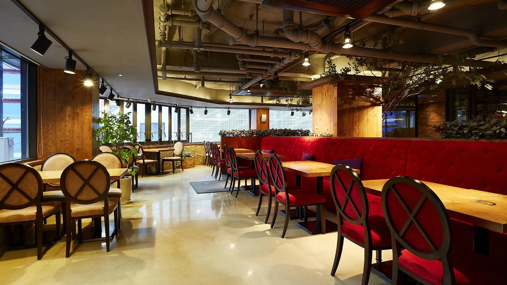 서울 나인트리 바이 파르나스 서울 명동 1 3성급 호텔 수영장