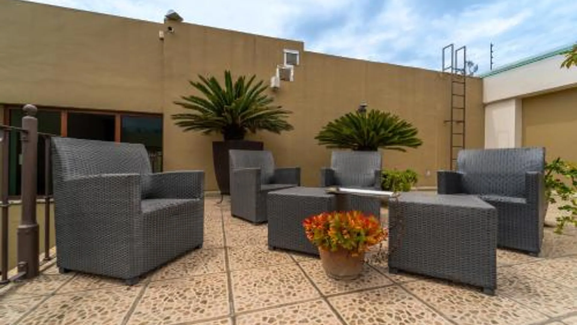 오악사카 Casa de las Flores Hotel 4성급 호텔 부대시설