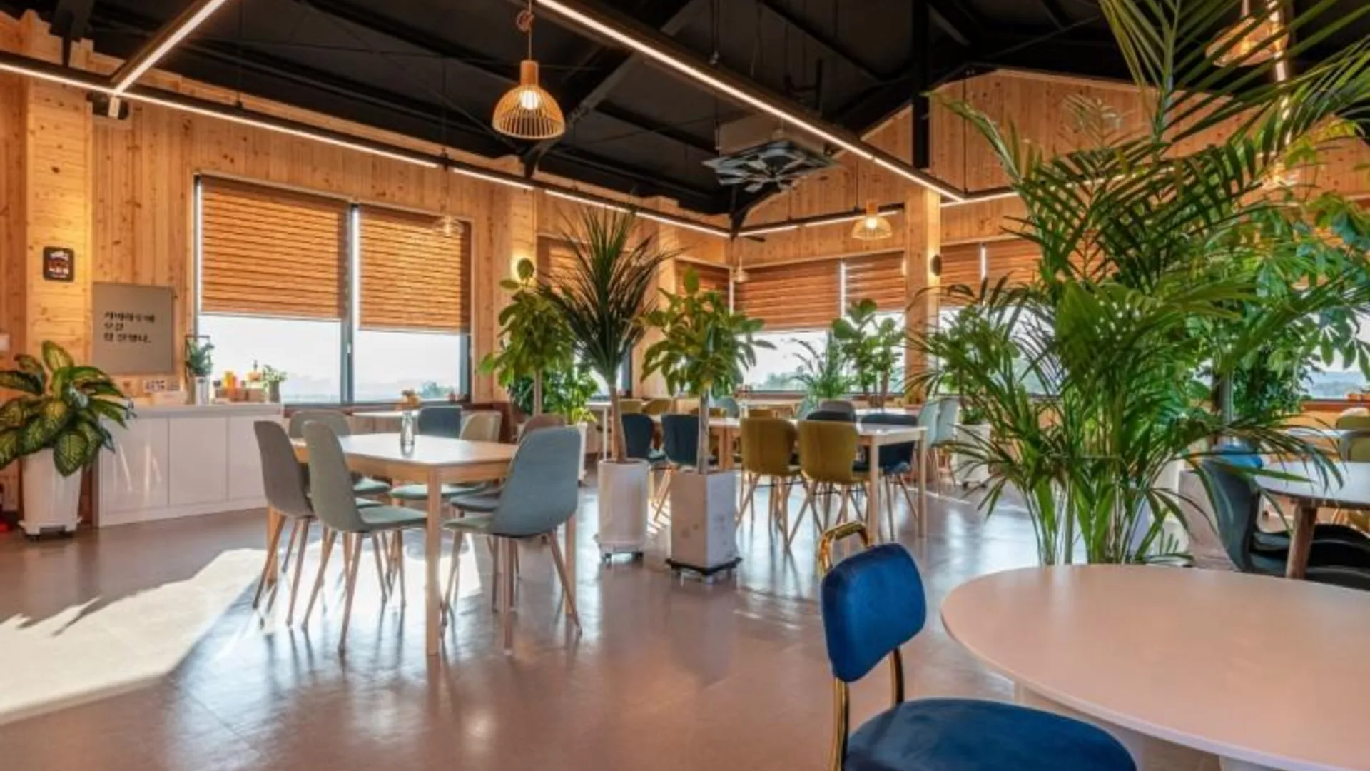 청원 청주 초정힐링캠핑장 2성급 게스트하우스 수영장