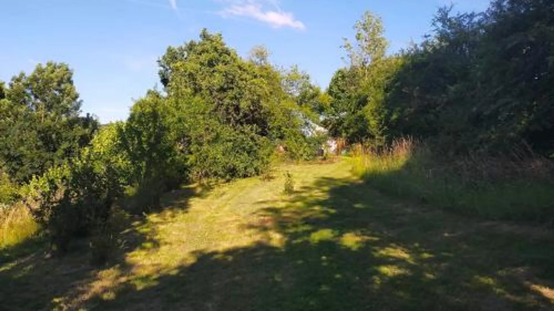 아우반게 Tiny Messancy, une immersion dans la nature ! 4성급 싱글룸 전망