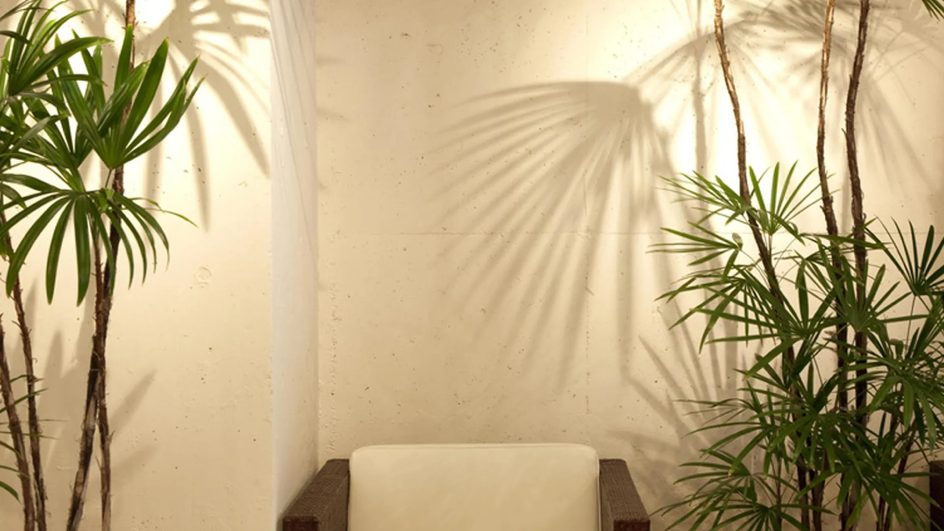 오사카 호텔 퍼블릭 잼 2성급 호텔 부대시설