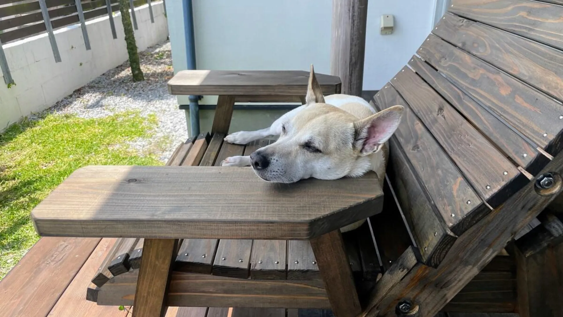 오키나와 본섬 우루마의 프라이빗 하우스 (66m², 침실 2개, 프라이빗 욕실 1개) 4성급 게스트하우스 객실