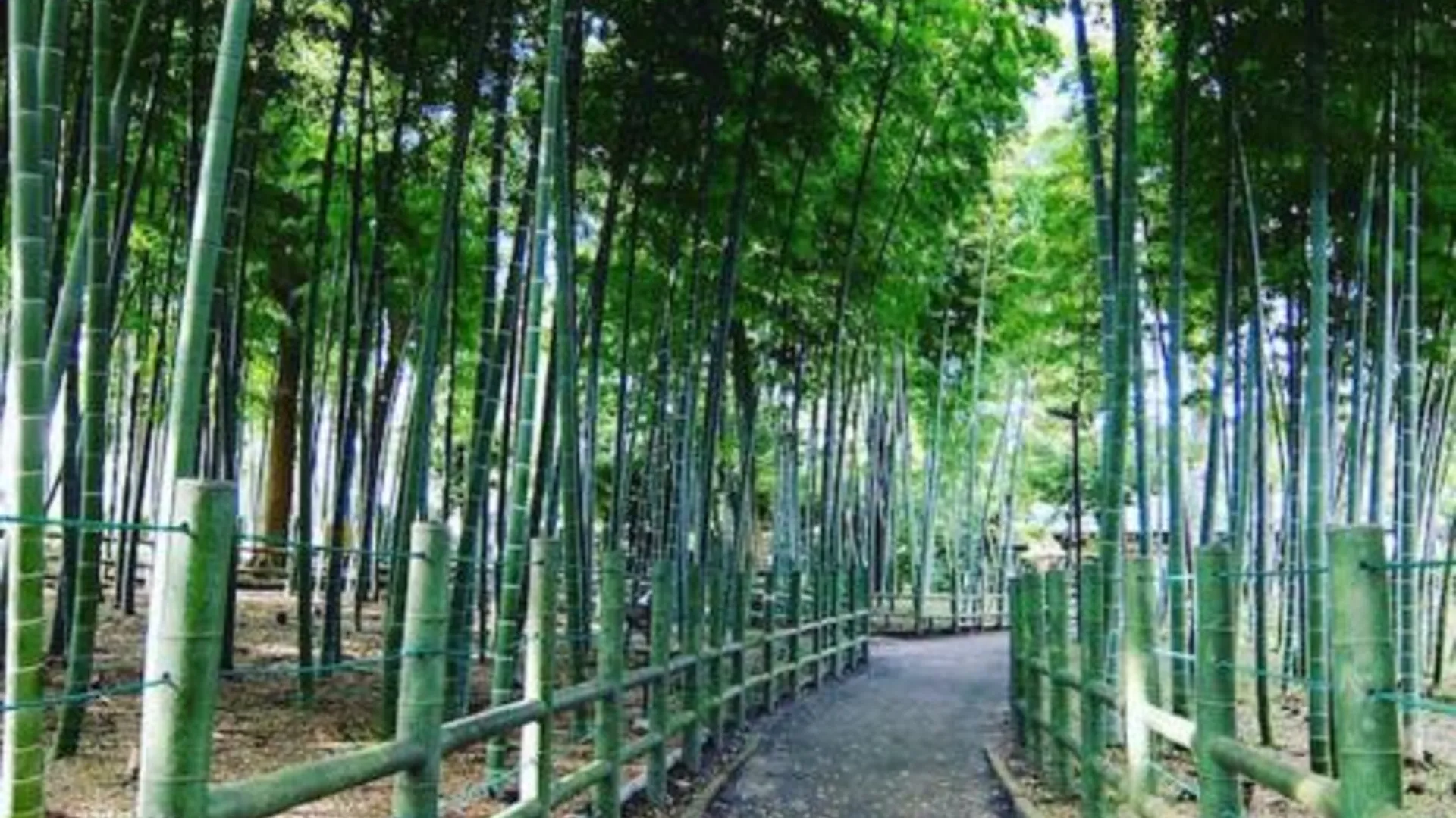 도쿄 / 동경 レンタルルーム目黒 2성급 호텔 외관